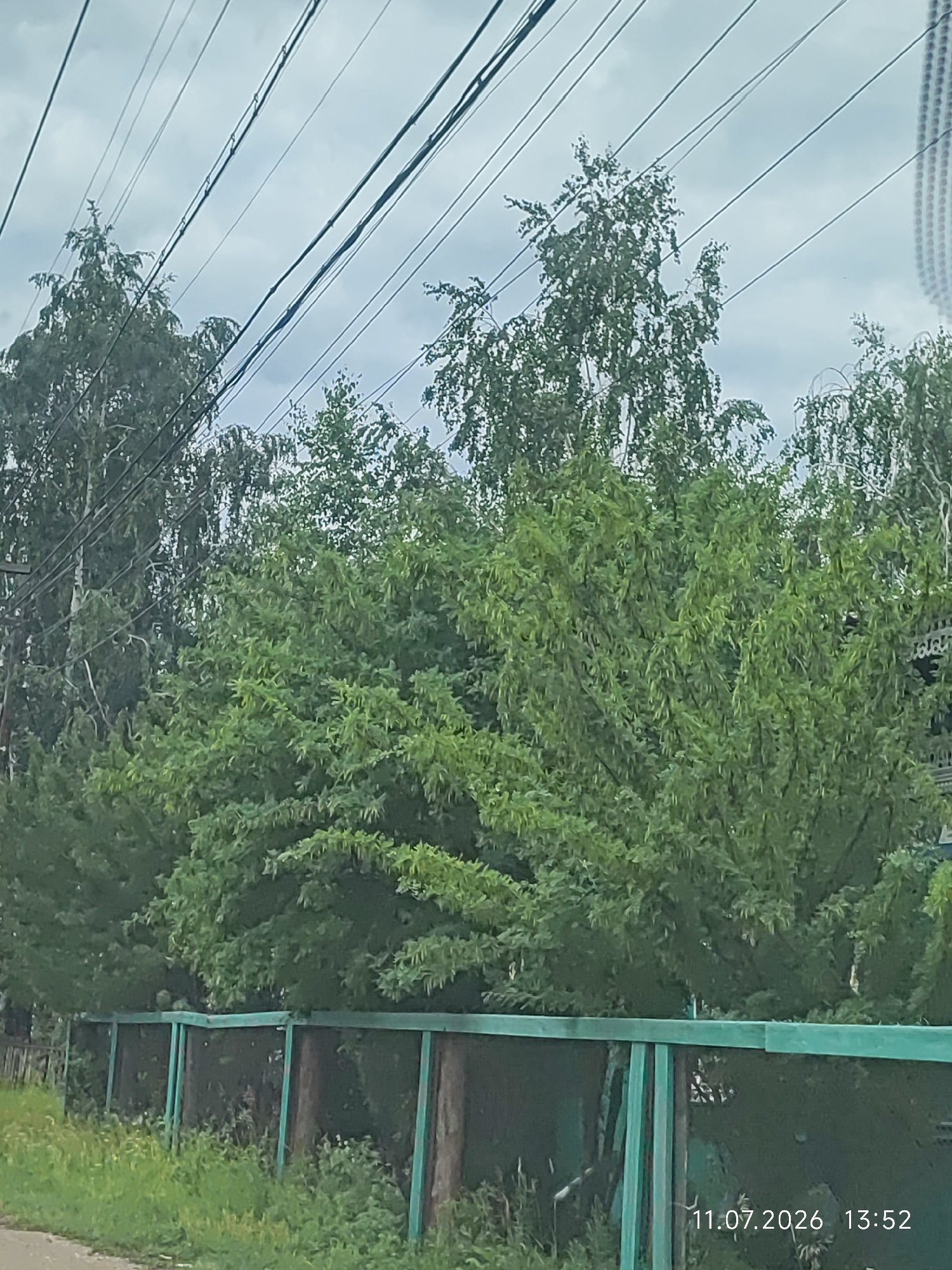 The image depicts a street scene in Balagansk, Russia, on July 11, 2026, at 13:52. The foreground is dominated by a weathered, green-painted fence with wooden posts. Beyond the fence, a dense line of lush green trees and foliage fills the mid-ground. In the background, a cloudy sky is visible, with numerous electrical wires crisscrossing overhead. The overall impression is a residential or semi-rural setting characterized by natural vegetation and overhead utility infrastructure. There are no people or identifiable actions depicted in the image.
