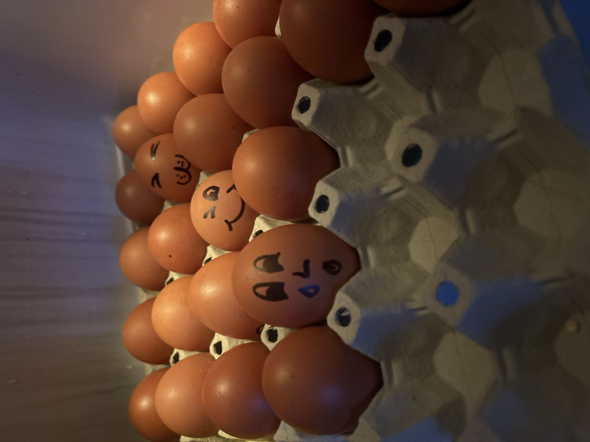 A close-up shot features a carton of brown eggs. Some eggs have drawn-on faces. The carton is made of gray cardboard with molded compartments. The image is brightly lit. The scene is located in Unknown, Unknown.