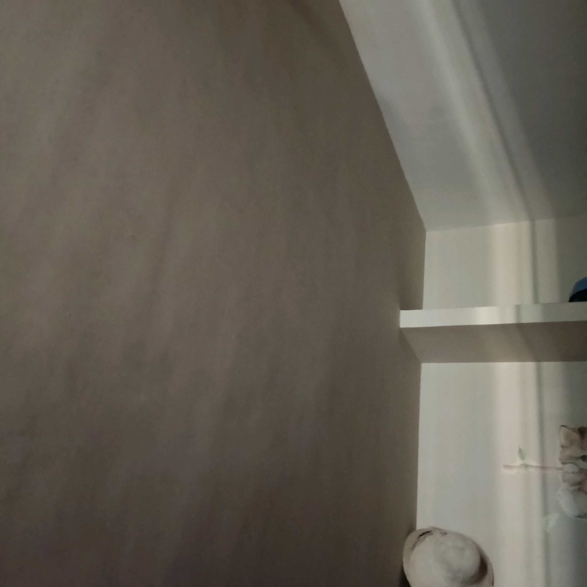 The image shows a corner of a room with two walls meeting at a right angle. One wall is painted a neutral grey, while the other is white and features a slanted ceiling. There are two white shelves mounted on the white wall. The top shelf is empty, but the bottom shelf has a blue object on its right side and a decorative picture of a cat on its left. In the lower left corner of the image, part of a light-colored hat is visible. The scene appears to be indoors, with light casting shadows on the slanted ceiling. The location is not specified as being in Bengaluru, India.