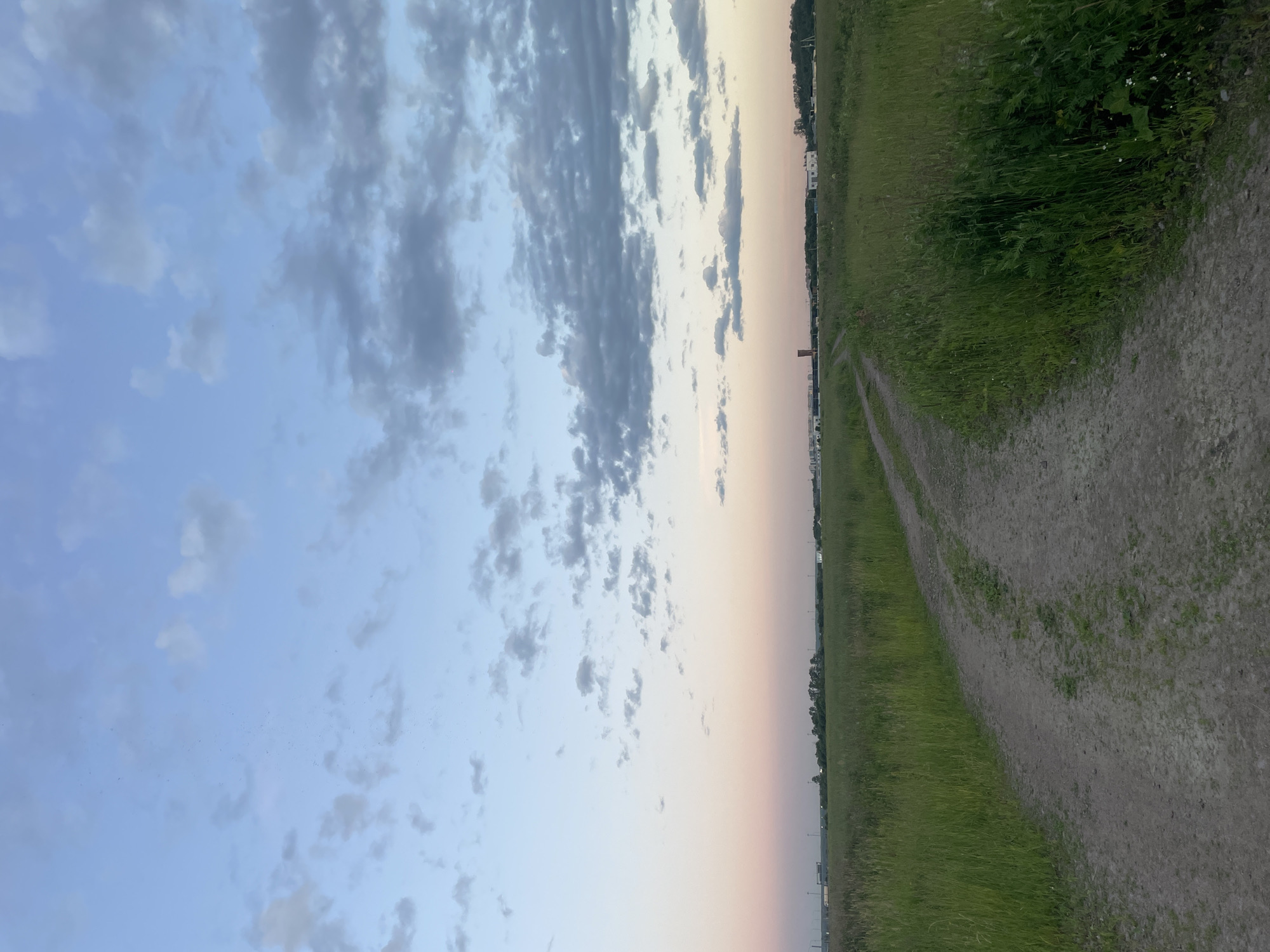 This is a landscape photograph taken outdoors. The image is oriented vertically, with the sky occupying the left side and a path and grassy field on the right. The sky is a gradient of soft blues and pinks, suggesting it is either dawn or dusk. There are scattered clouds, some dark gray and others lighter, dispersed across the blue expanse.
The right side of the image features a dirt path that curves through a field of tall green grass. The grass appears to be somewhat wild and untamed, with some taller weeds and wildflowers mixed in. In the distance, along the horizon, a line of trees and some buildings are visible, hinting at a semi-rural or suburban setting. The overall impression is one of a peaceful, natural landscape at the transition between day and night. There is no visible text in the image.