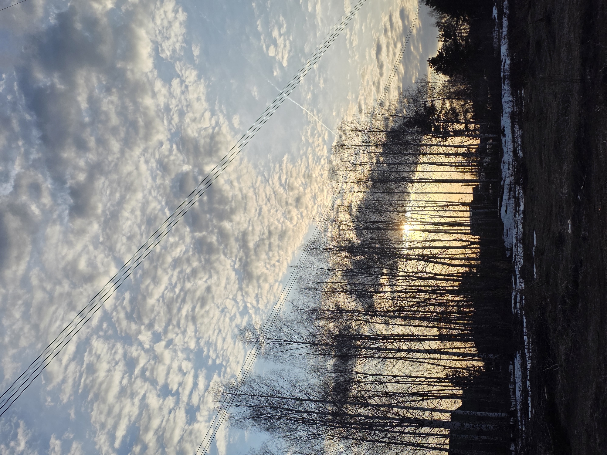 The image depicts a landscape, possibly at dawn or dusk, with a prominent sky filled with small, scattered clouds. High-voltage power lines stretch diagonally across the sky. Below the sky, a row of bare trees dominates the midground, their branches silhouetted against the light. In the background, there is a darker area that seems to be a forest or a more densely wooded area. Traces of snow are visible in the foreground. The location is likely near Noviy, Russia.