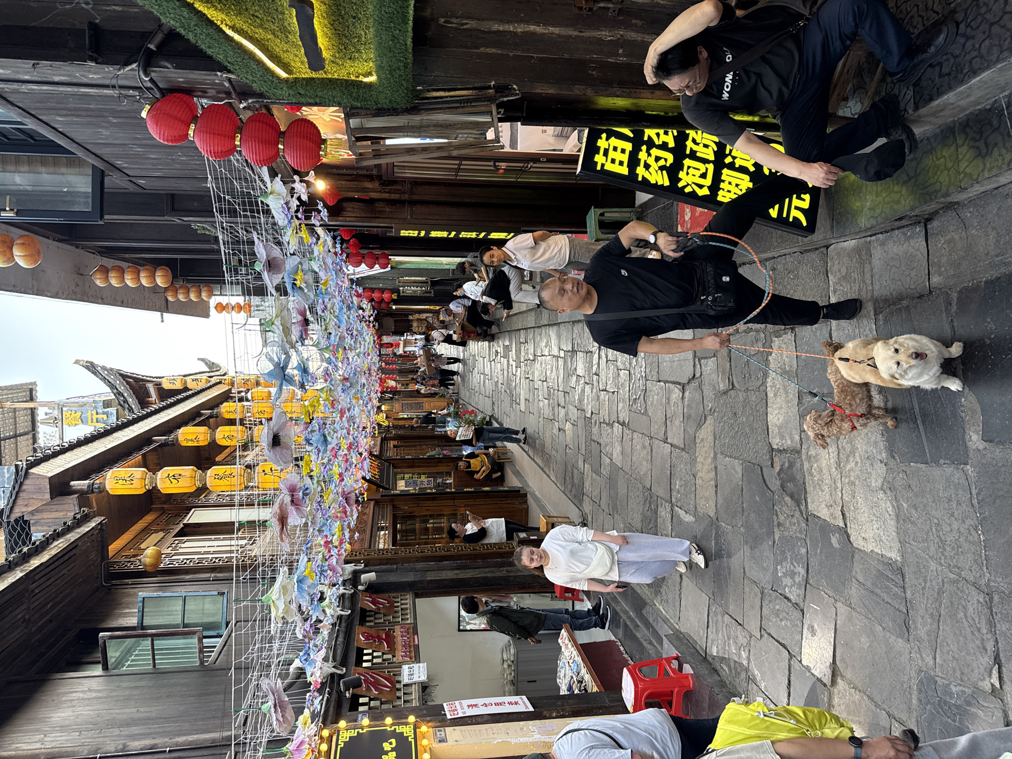 The image shows a narrow, paved street in Furong, China, lined with traditional wooden buildings adorned with hanging yellow and red lanterns. A mesh structure above the street is decorated with colorful paper flowers. People are walking along the street, some seated and some standing. A man in black is walking two dogs on leashes. Another man is crouching near a lit sign with Chinese characters. A woman in white stands on the street looking towards the camera. The overall scene depicts a vibrant, bustling atmosphere in a traditional Chinese setting.
