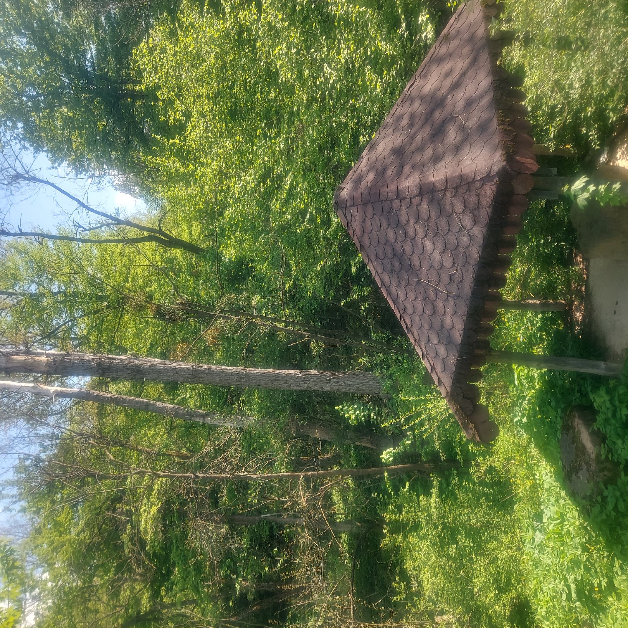 The image shows a partially obscured view of a wooden gazebo roof in a forested area. The roof is covered with brown, overlapping shingles and has a decorative wooden trim. Surrounding the gazebo are trees with green leaves and undergrowth. The scene is bathed in sunlight, suggesting it is daytime. The image is taken in Balkantsi, Bulgaria.