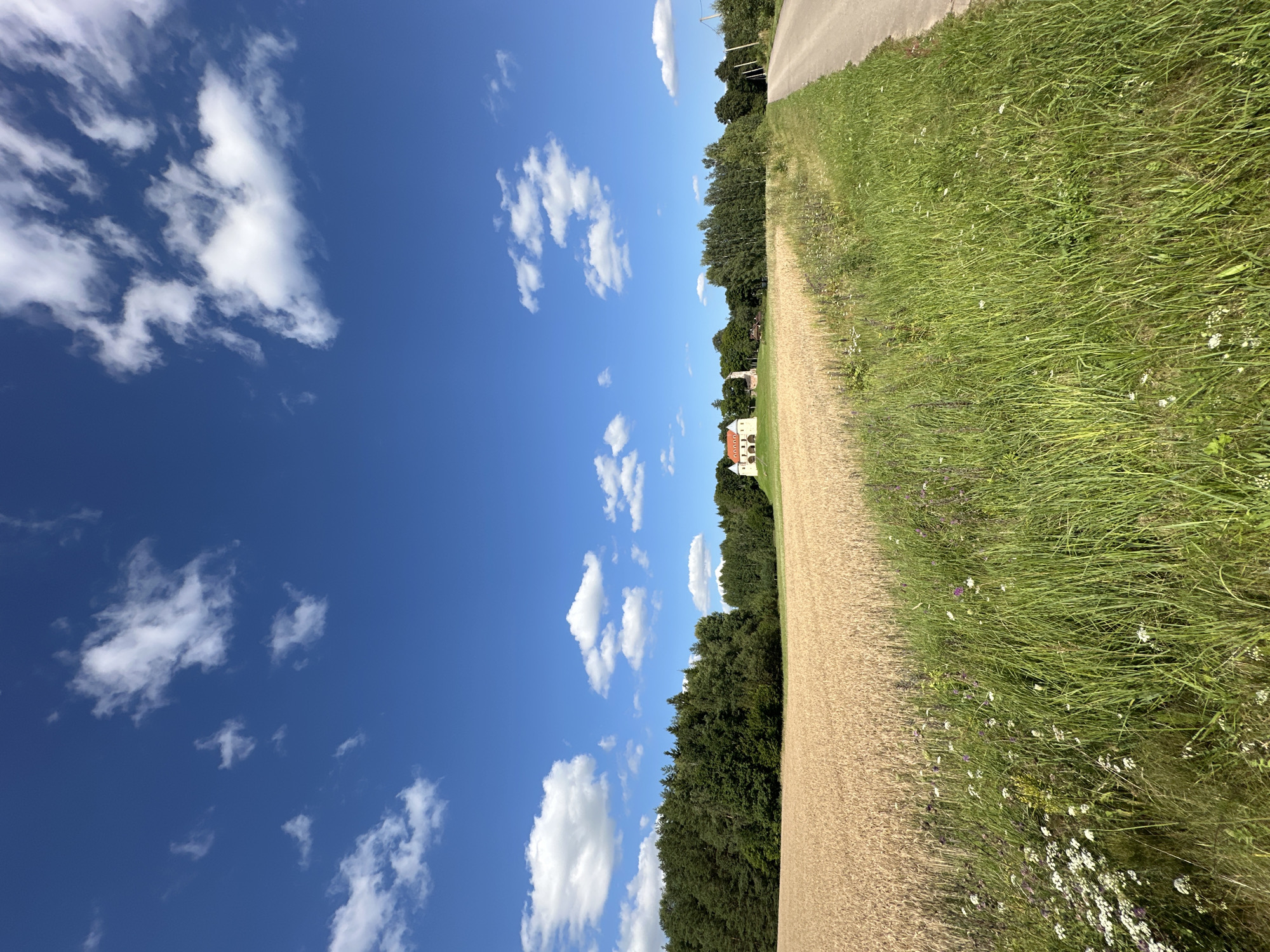 The image depicts a rural landscape in Norviliškės, Lithuania, under a bright blue sky with scattered white clouds. In the foreground, a field of ripe, golden wheat stretches across the left side of the frame. The right side is bordered by a dirt road and a strip of tall, green grass dotted with small wildflowers.
Further into the scene, a dense line of green trees forms a forest along the horizon. Nestled amongst the trees, on a slight incline, stands a white building with a red roof, appearing to be a house or a small estate. A tall, slender tower, possibly a church steeple, is visible to the right of the building. The overall impression is one of serene countryside.