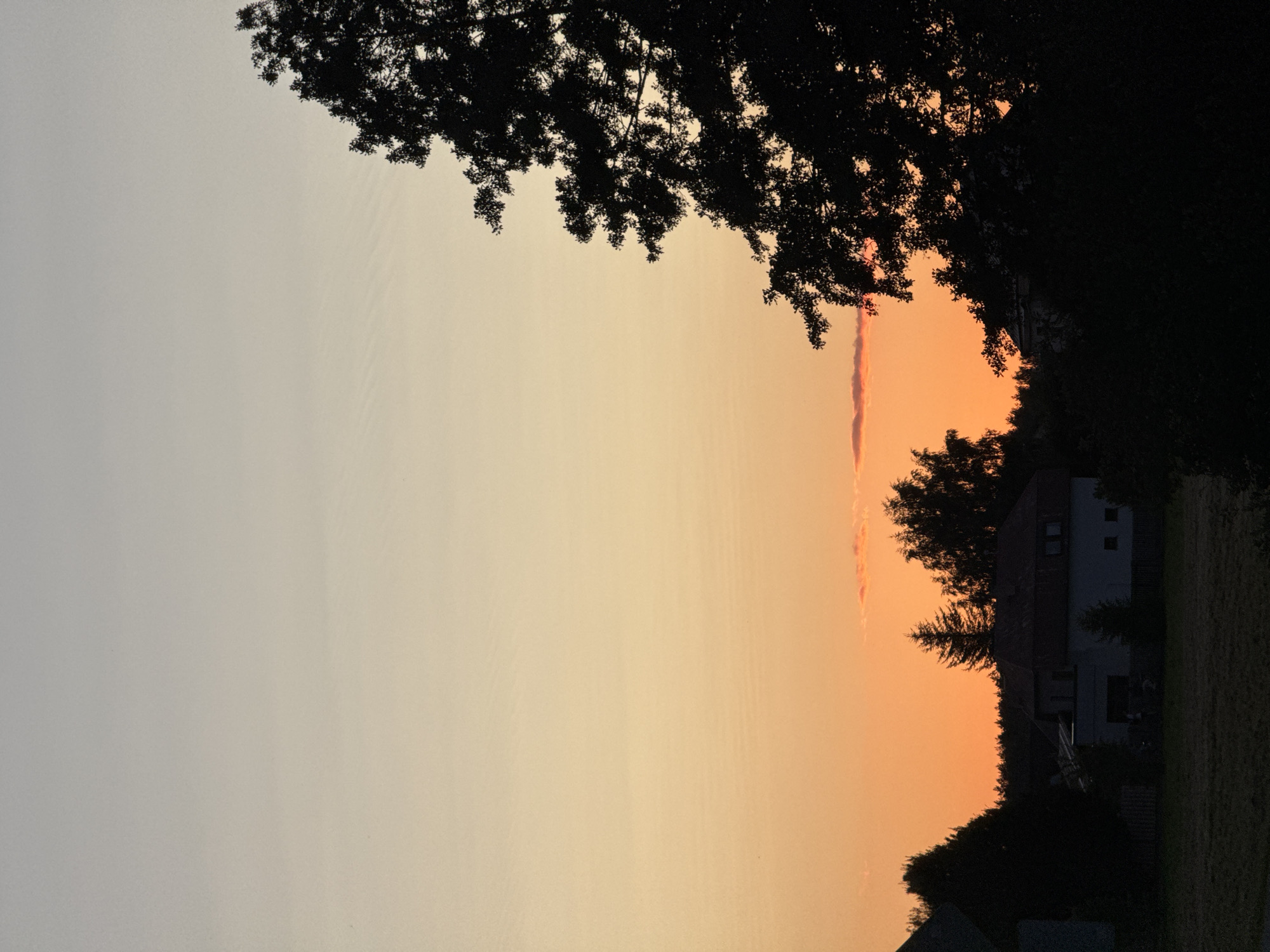 A silhouette of a large tree is in the foreground, its branches extending across the right side of the frame. In the mid-ground, a cluster of houses and trees are visible against a vibrant orange and yellow sunset sky. The sky transitions from a pale yellow at the top to a deep orange towards the horizon, with a few wispy clouds. The scene appears to be in a rural or suburban area, with a house with a red roof and white walls being prominent amongst the trees. The image captures a serene evening in Carnikava, Latvia.