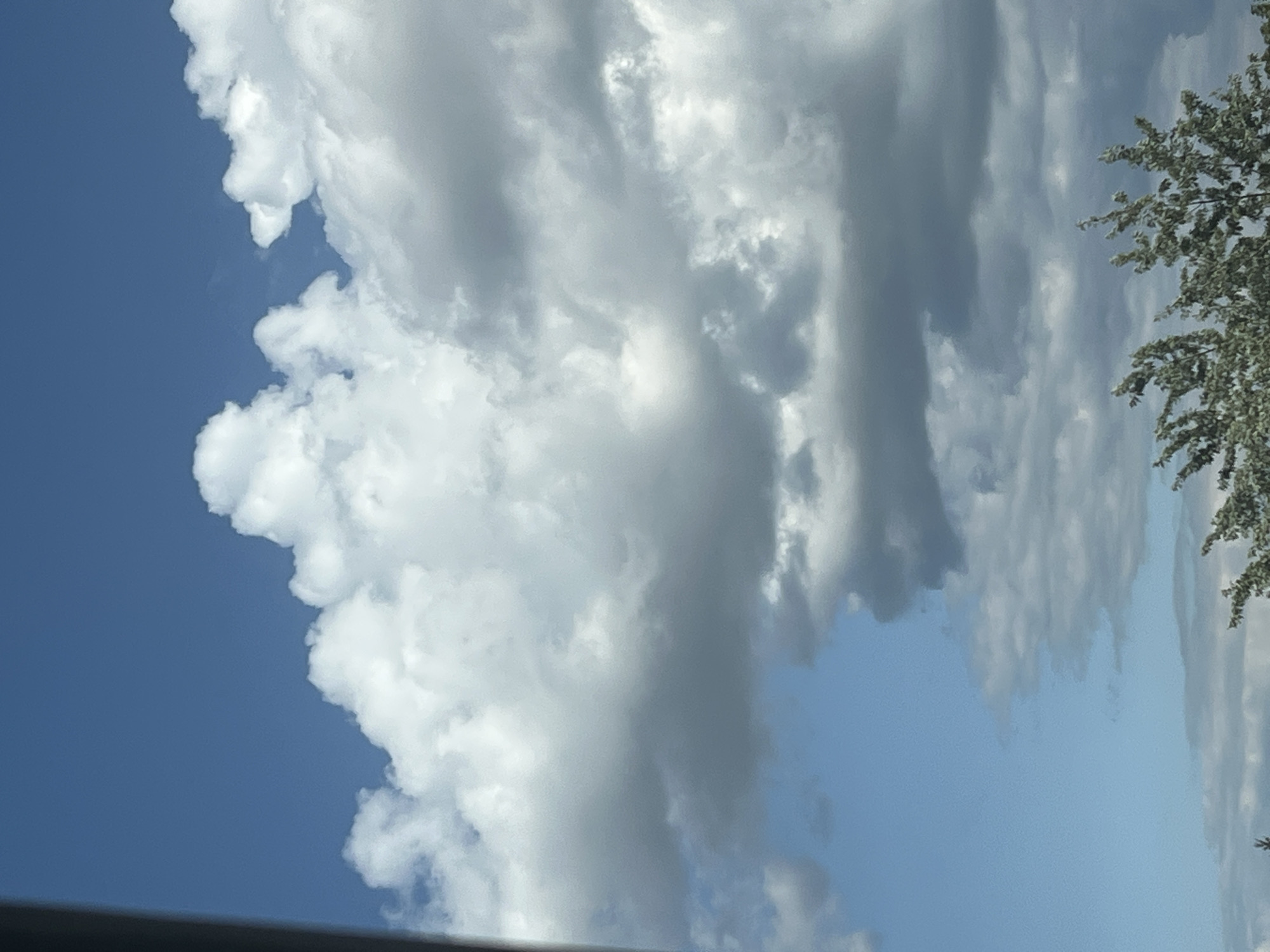 The image shows a dynamic sky filled with a mix of cumulus and stratus clouds against a vibrant blue sky. The clouds vary in density and color, ranging from bright white where they catch the sunlight to darker grays where they are thicker or shadowed. The overall impression is of a partly cloudy day with the potential for changing weather. There is a glimpse of green foliage from trees at the bottom of the frame, suggesting an outdoor environment. The image does not provide any specific indicators that would allow for the identification of a location within the city of Warsaw, Poland.