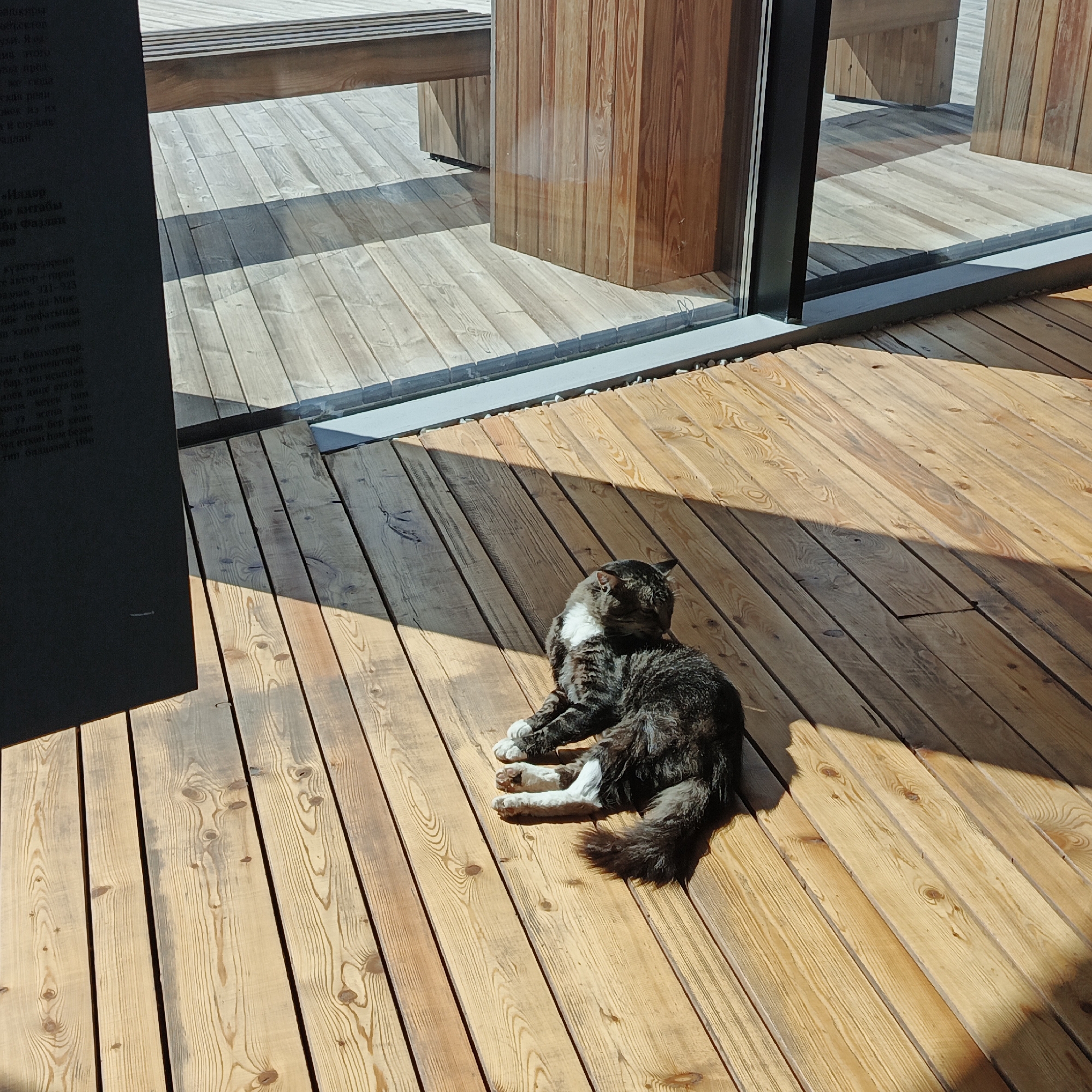 A medium-shot, eye-level, outdoor, daytime, natural light photograph shows a domestic cat basking in sunlight on a wooden deck. The cat, a grey and white tabby, is lying on its side, facing away from the camera and looking to its right. Its paws are tucked underneath its body. The deck is constructed from light-colored wooden planks, laid diagonally from the lower left to the upper right of the frame. The wood shows a prominent grain pattern and some knots. Shadows from unseen objects cast diagonal stripes across the deck, indicating sunlight is coming from the upper left. To the left of the frame, a dark, vertical panel with text in an unidentified script is partially visible, casting a shadow onto the deck. In the background, a large window reveals wooden architectural elements and benches, suggesting the location is a modern building or outdoor seating area. A gray metal strip runs along the base of the window. The overall environment appears clean and well-maintained, likely an urban or semi-urban public space. The coordinates of Verkhnie Termy, Russia, are not visible within the image itself.