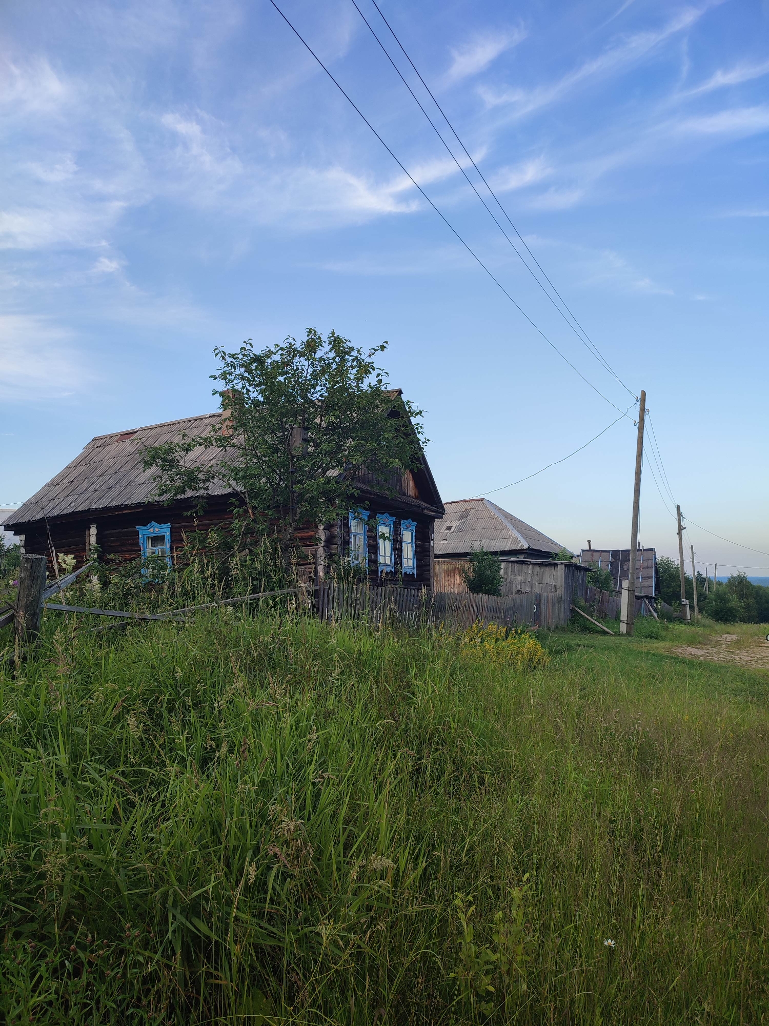 The image depicts a rural scene in Gremyachinsk, Russia. In the foreground, tall, green grass with some seed heads grows abundantly. A weathered wooden fence made of vertical planks and horizontal supports runs across the middle ground, partially obscured by the grass. Behind the fence, a traditional wooden log house with a gray, corrugated roof is visible. This house has bright blue window frames with decorative carvings. A leafy green tree stands next to the house. Further back, another building with a similar gray roof and a wooden fence is seen, along with a series of utility poles supporting power lines that stretch across the sky. The sky is a clear blue with wispy white clouds. A dirt road curves away into the distance on the right side of the image, bordered by more greenery and trees. The overall impression is of a quiet, rustic village setting.