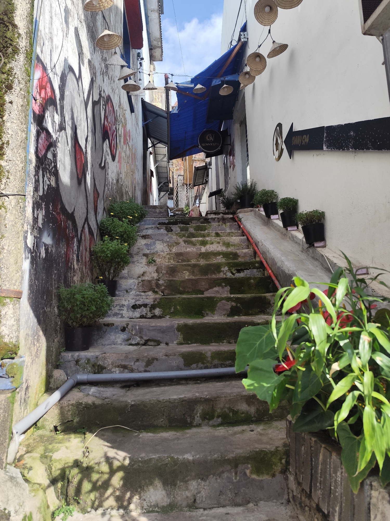 A narrow outdoor alleyway in Da Lat, Vietnam, is depicted. A weathered set of concrete stairs, partially covered in moss, ascends through the alley. Potted green plants, some with small yellow flowers, are placed along the left side of the stairs. The left wall of the alley is adorned with vibrant graffiti art in shades of red, white, and grey. On the right, a white wall features a black arrow sign pointing to the left, with "SUNNY SPA" written in white text. A blue awning is visible overhead, with a string of conical straw lamps hanging from it. In the foreground, a lush green plant with red accents adds a splash of color. The sky above is a clear blue with scattered white clouds. The scene suggests a lively, artistic, and somewhat aged urban environment characteristic of Da Lat.