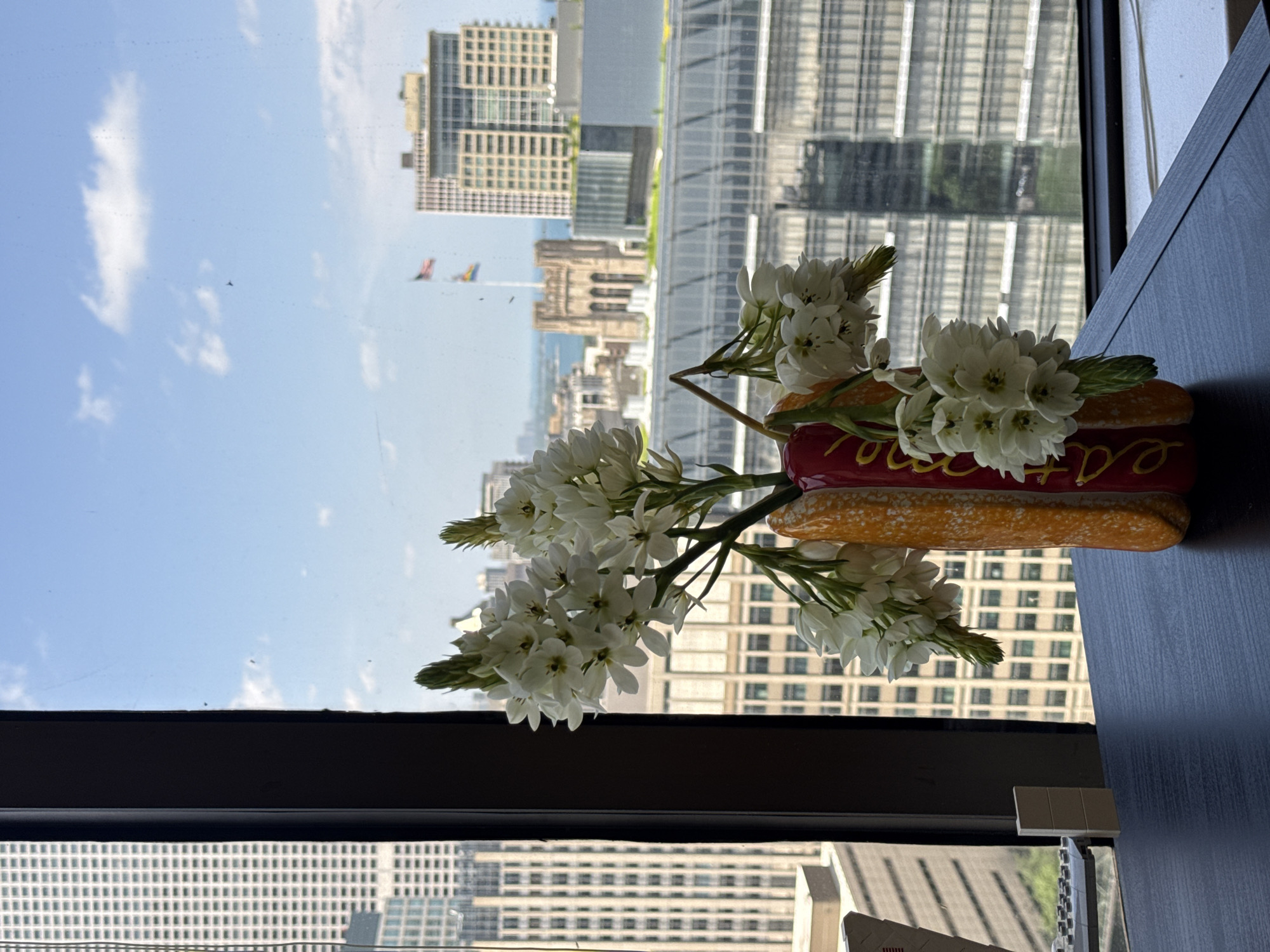 In Chicago, Illinois, USA, a close-up, eye-level shot displays a hot dog-shaped vase filled with white flowers, placed on a dark wooden table in front of a window. The vase is red with yellow mustard-like accents and writing that appears to say "Eat." The white flowers are delicate and clustered, with some buds visible. Beyond the vase, through the window, the cityscape unfolds under a bright blue sky with scattered clouds. Prominent in the background are various skyscrapers and buildings, including a tall, light-colored building on the left and a cluster of buildings in the center with a gothic-style stone structure among them. Flags, including the American flag, are visible on a flagpole. The scene suggests an indoor setting with a view of urban architecture and a clear day. There are no people visible in the image.