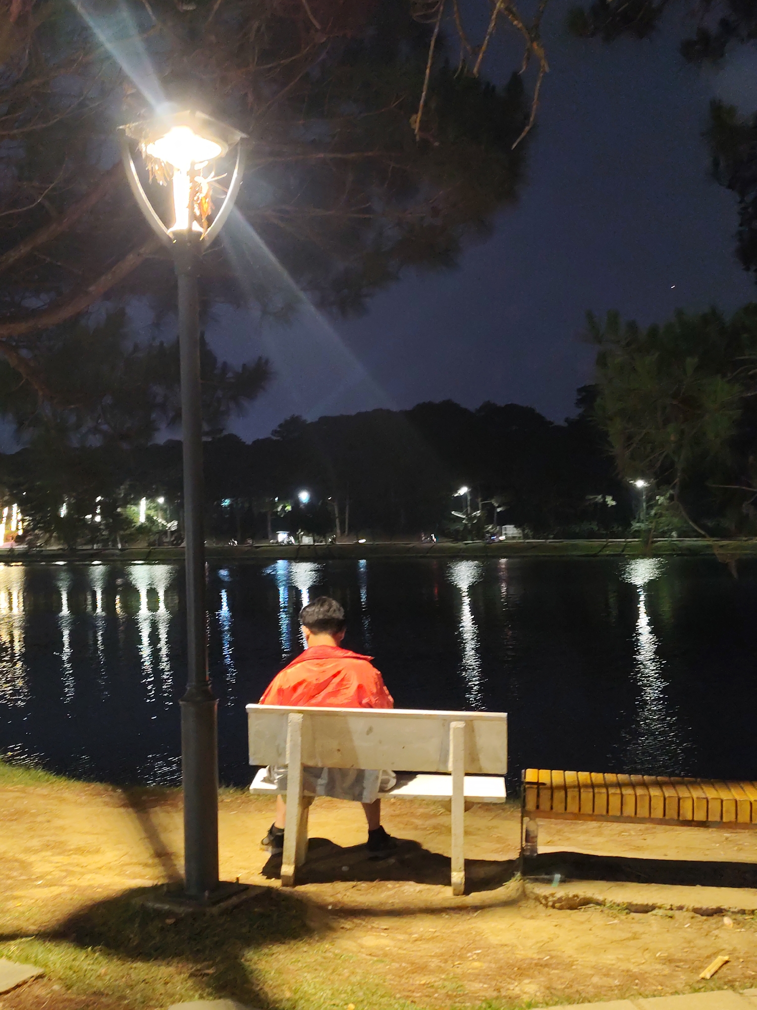 A person wearing a red jacket sits on a white bench next to a lamppost, facing a body of water at night. Reflections of lights shimmer on the water's surface. The backdrop features silhouettes of trees against a dark sky. The scene is lit by the lamppost and other distant lights along the water's edge. Based on the pine trees and lakeside setting, this is likely Hồ Xuân Hương lake in Da Lat, Vietnam.