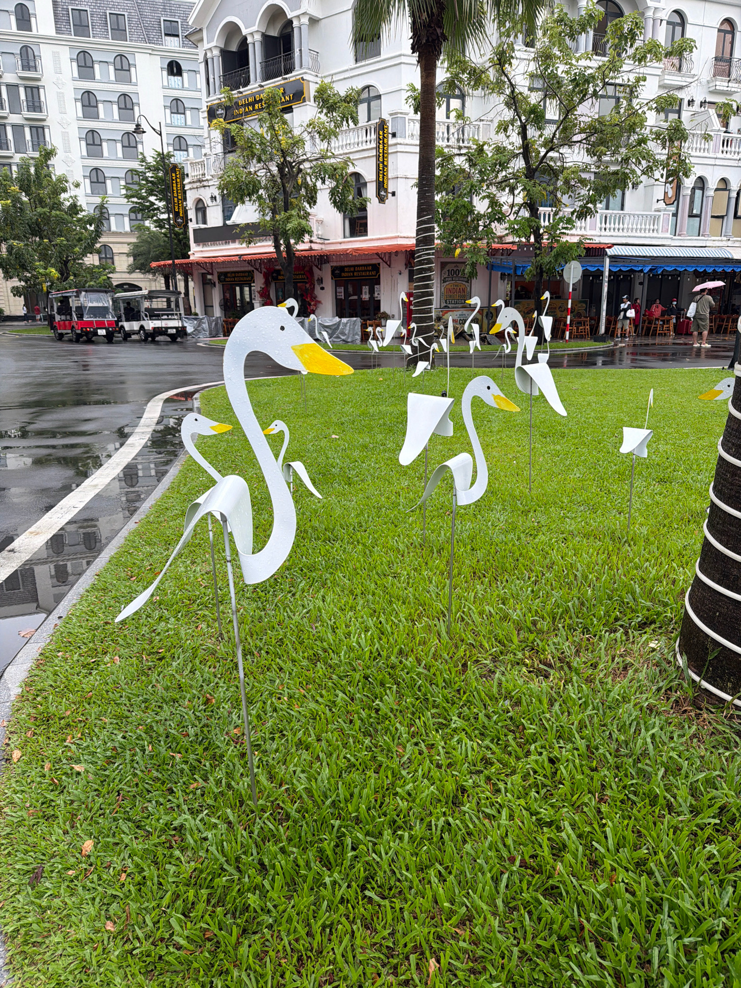 The image depicts an outdoor scene in front of a row of buildings in Phú Quốc, Vietnam. In the foreground, several white, stylized swan-shaped lawn ornaments are scattered across a well-maintained green lawn. These ornaments are made of a reflective material and feature yellow beaks. To the left, a wet, paved road with white lane markings is visible, with two golf cart-like vehicles parked on it. In the background, a multi-story building with light-colored facades, arched windows, and balconies lines the street. Some of these buildings appear to house restaurants, indicated by awnings and signage, one of which reads "DELHI DARBAR INDIAN RESTAURANT." A large palm tree trunk is partially visible on the right side of the frame. The ground appears damp, suggesting recent rainfall. A few individuals are visible in the background, some standing near the establishments and one person holding a pink umbrella. The overall atmosphere is that of a commercial or tourist area with decorative elements.