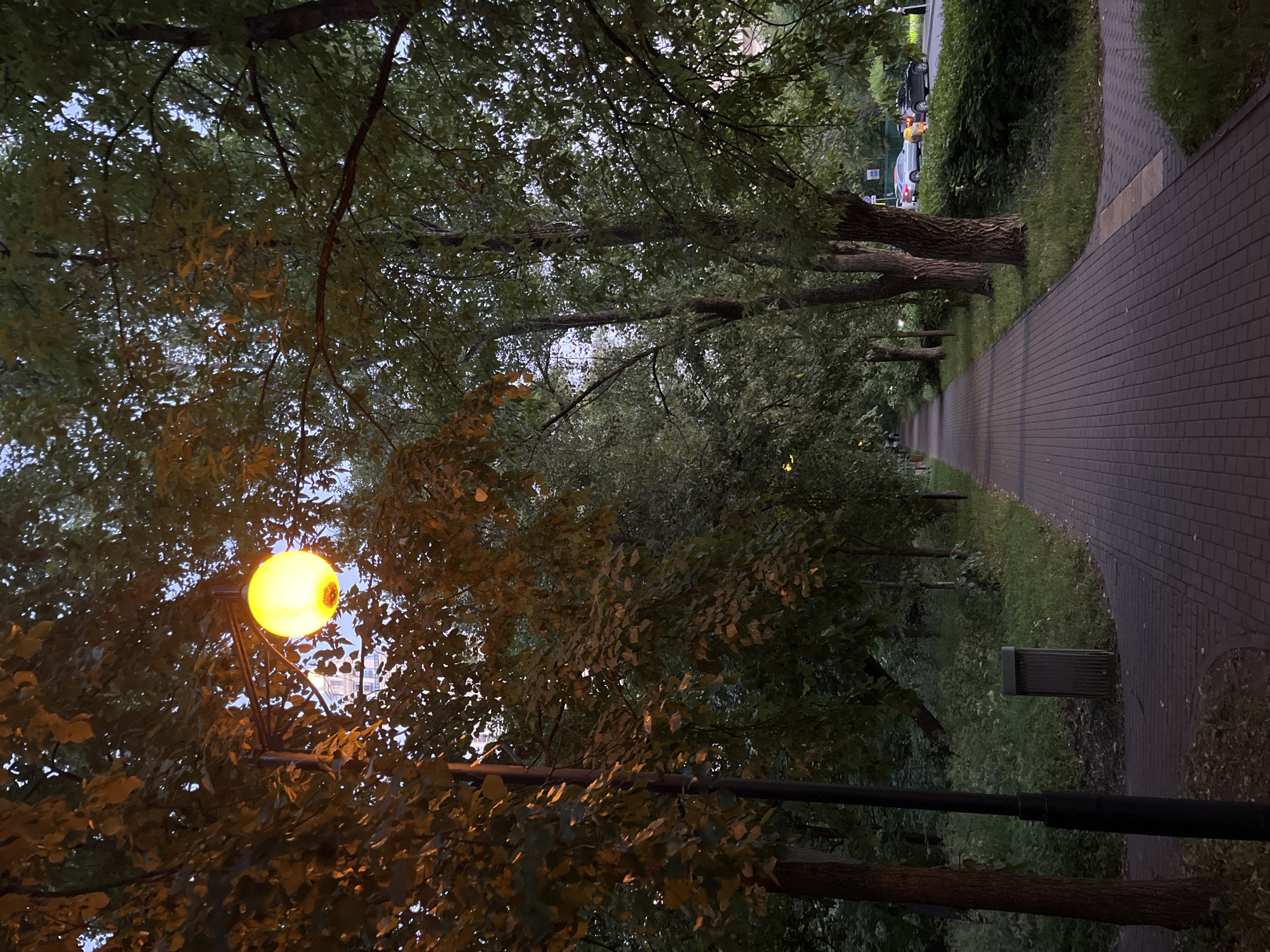 The image depicts a paved pathway lined with trees and grass on the left, and a densely treed area on the right. A streetlamp with a glowing yellow orb is prominent in the foreground, casting a warm light on the surrounding leaves and branches. The pathway itself is made of dark bricks, with a lighter colored strip running down its center. Beyond the trees on the right, a grassy area with a trash can is visible, leading to more trees and then a road with cars. The sky is overcast and appears to be either early morning or late evening. The overall atmosphere is serene and quiet, possibly suggesting a park or residential area. The location context indicates this scene is in Khimki, Russia. No text is visible in the image.