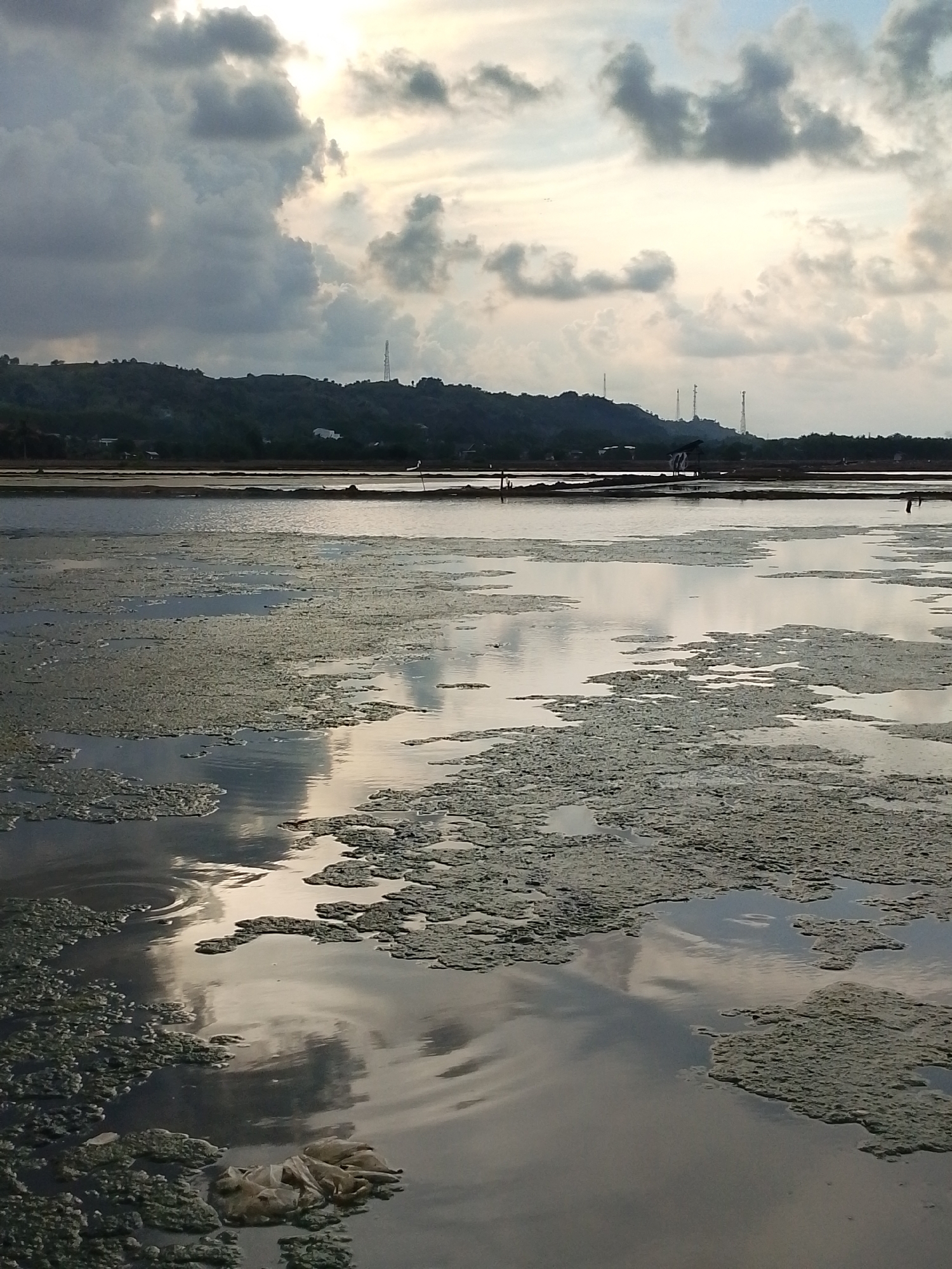 The image shows a wide expanse of water, likely a salt pond or shallow bay, in Lhokseumawe, Indonesia. The water surface is partially covered with algae or other floating material, creating a mottled texture. The sky is overcast with dramatic clouds reflecting in the water. In the background, a low-lying landscape with buildings and telecommunication towers can be seen. Several indistinct figures of people appear to be working in the shallow water. A small pile of garbage lies in the foreground.