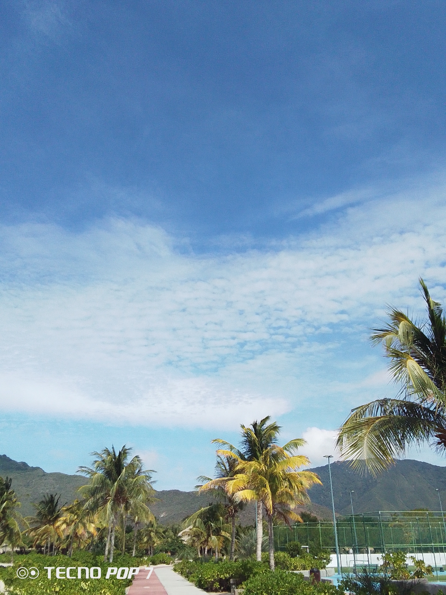 A sunny day in Pedro González, Venezuela, shows a partially paved walkway leading to a tree-lined area with coconut palm trees and green bushes, with mountains in the background. A tennis court area is visible to the right. The sky is mostly blue with some thin clouds. The watermark "TECNO POP 7" is visible in the bottom left corner.