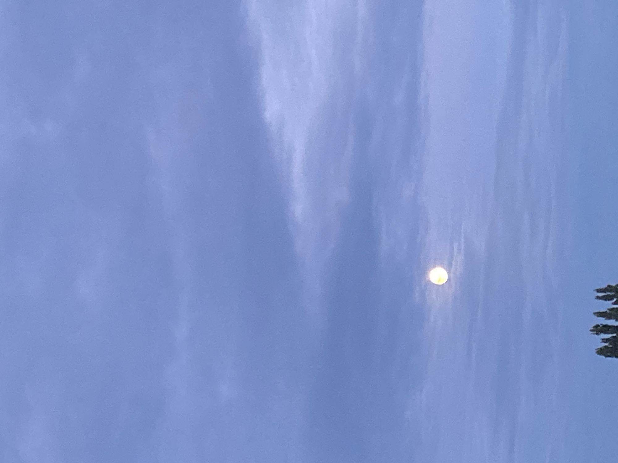 The image shows a full moon against a cloudy, pale blue sky. The moon is bright and slightly off-center in the frame. The lower portion of the image shows the tops of several coniferous trees, silhouetted against the sky. The environment appears to be outdoors, likely in a rural or semi-rural area, given the presence of trees. There are no people or vehicles visible. The overall lighting suggests it might be dusk or dawn. No specific location in Usman, Russia can be determined from the visual information provided.