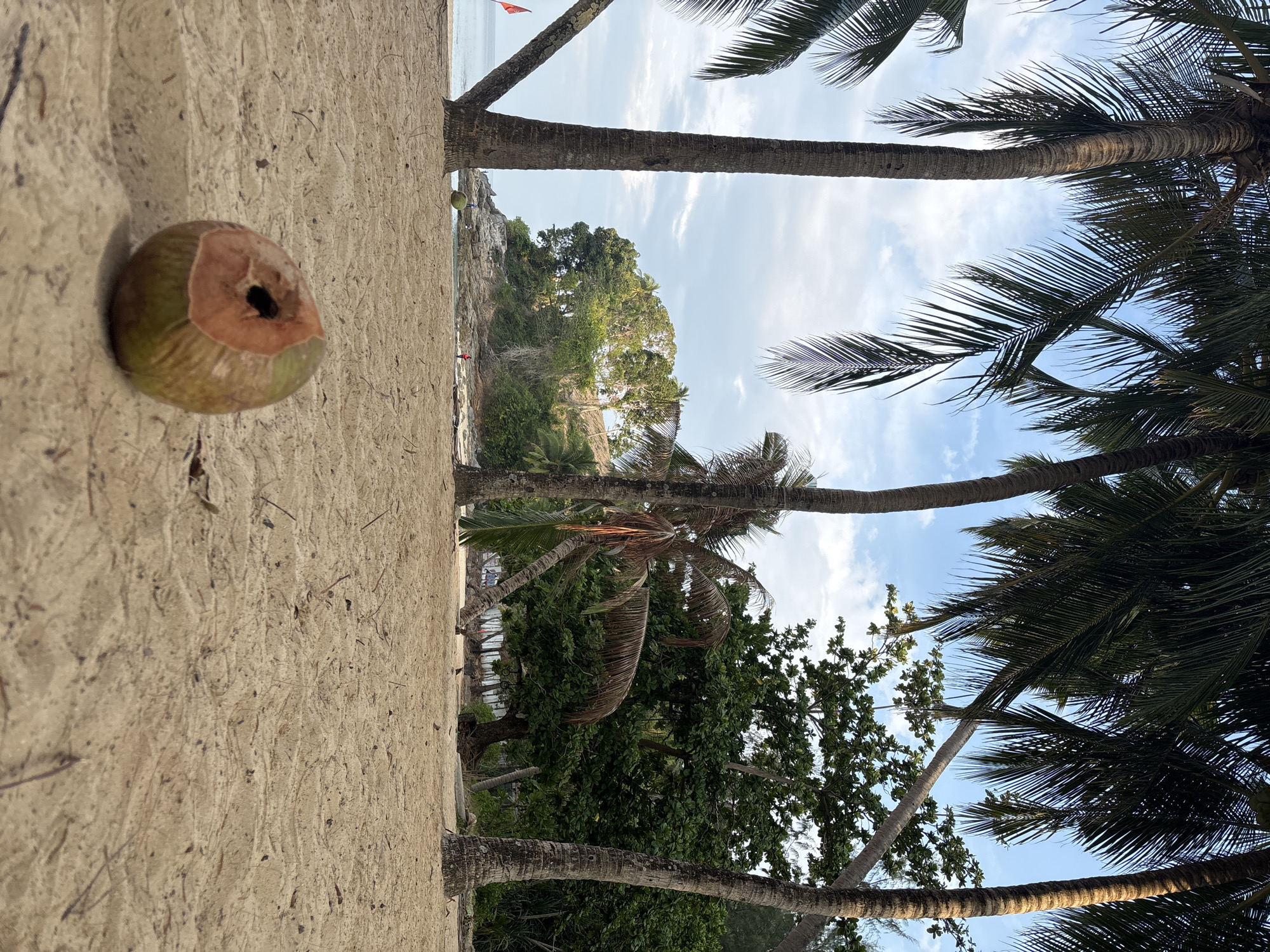 A scene on a beach in Choeng Thale, Thailand, captured from ground level. A cracked coconut sits on the sand in the foreground. Palm trees frame the view, with a thicket of green trees and foliage visible in the background. In the distance, a small land formation protrudes into a body of water. The sky above is partly cloudy.