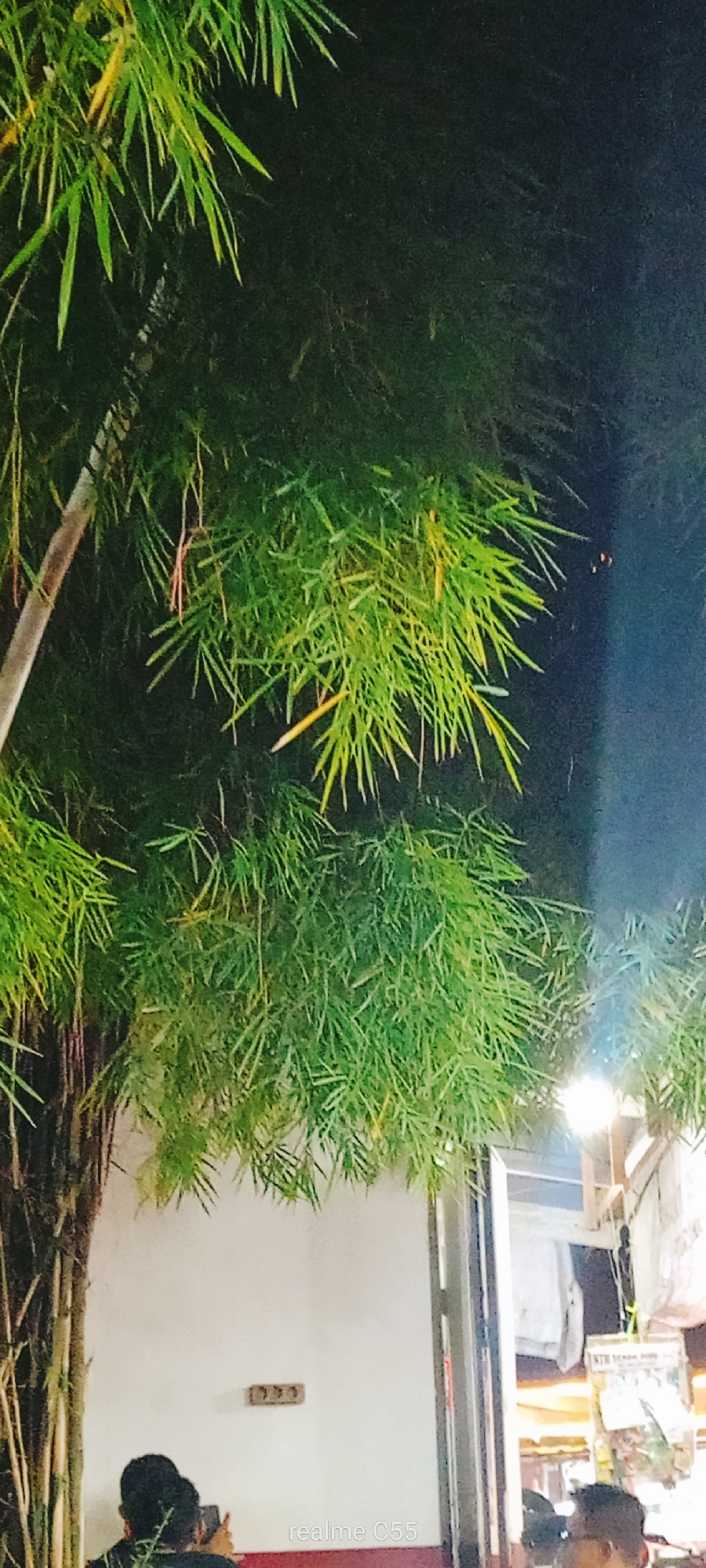 The image depicts a nighttime scene in Lhokseumawe, Indonesia, featuring a cluster of bamboo trees with lush green leaves dominating the upper portion. Below the trees, a white wall is visible, equipped with electrical sockets. Two individuals are partially visible near the wall, possibly interacting with devices. To the right, a doorway or shop entrance displays hanging merchandise and a bright light source. The overall impression is a blend of natural elements and urban infrastructure captured in low light conditions.