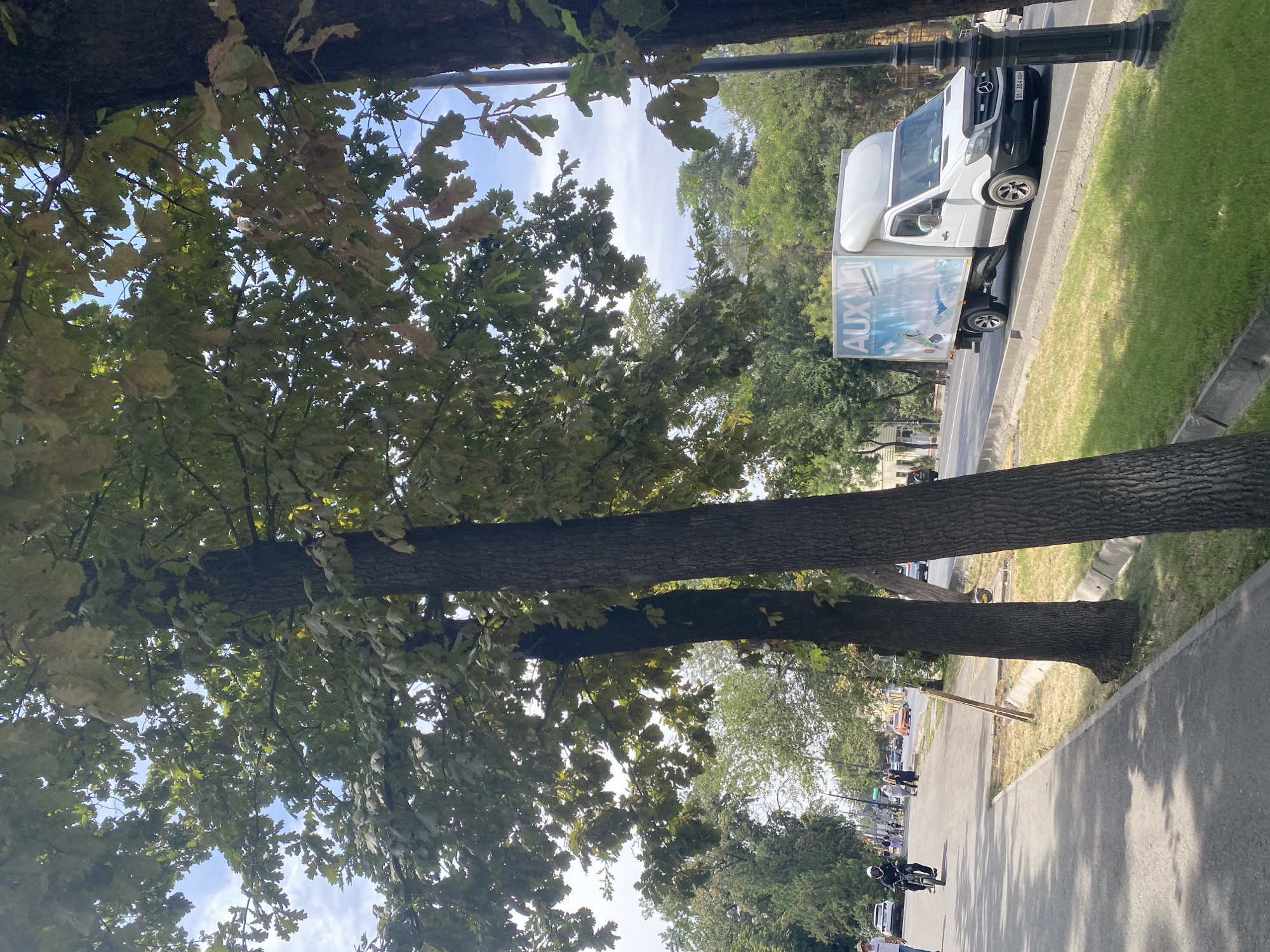 In Bishkek City, Kyrgyzstan, a sunlit street scene unfolds. A paved pedestrian walkway runs alongside a two-lane road, bordered by a strip of dry grass and mature trees. On the walkway, a person on a scooter with a white helmet rides past a white SUV, while other pedestrians walk in the distance. A white delivery truck with "AUX" branding is driving on the road. The sky is blue with scattered clouds, and the overall atmosphere is one of a typical summer day in an urban environment.