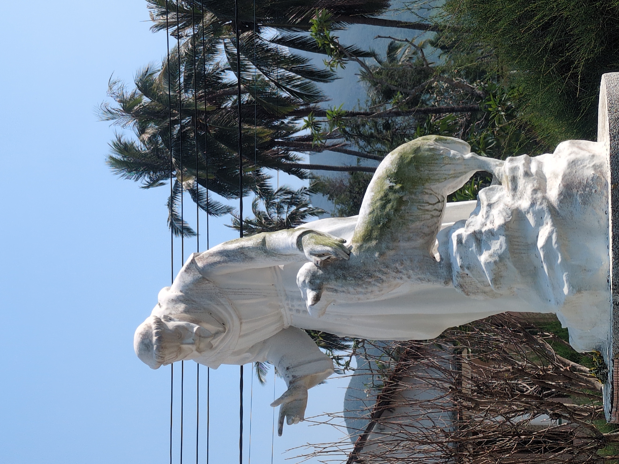A statue of a man stands under palm trees in South Quy Nhon Ward, Vietnam. The statue is white and appears to be made of stone or a similar material. The man is depicted with his head bowed and one hand extended. The background includes a clear blue sky, palm trees, and utility lines. There is also some green foliage and other vegetation visible.