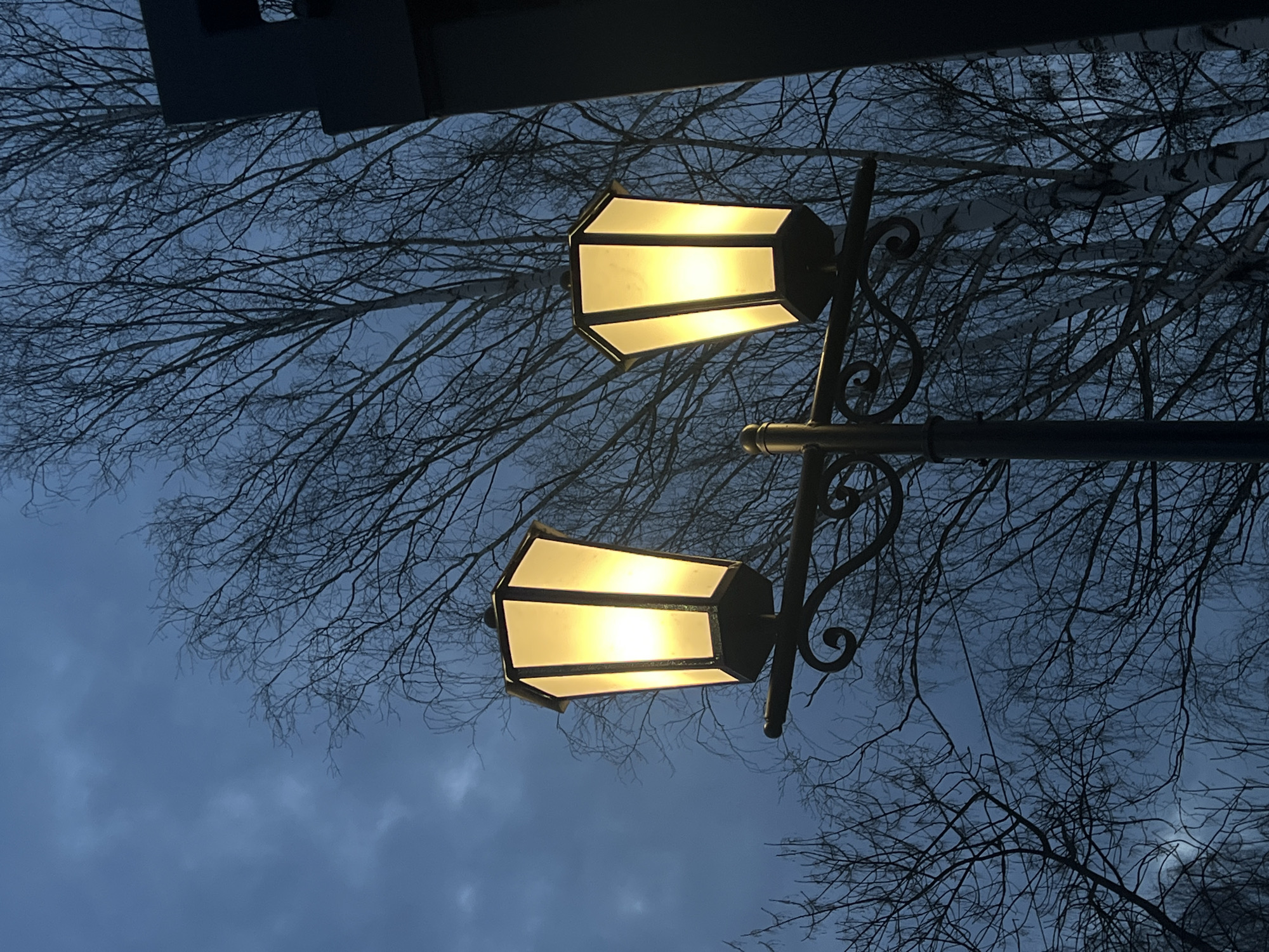 The image depicts a two-armed street lamp illuminated at twilight or dusk in Chaikovsky, Russia. The lamp, positioned slightly off-center, features a dark, possibly metallic, fluted pole with ornate scrollwork supporting two hexagonal lanterns. Both lanterns emit a bright, warm yellow light. In the background, numerous deciduous trees with bare, dark branches are visible against a dark blue, cloudy sky. Some trees, particularly towards the right, exhibit lighter, possibly white, trunks consistent with birch trees. A dark, vertical, rectilinear structure is partially visible on the far right edge of the frame. No individuals or specific actions are discernible.