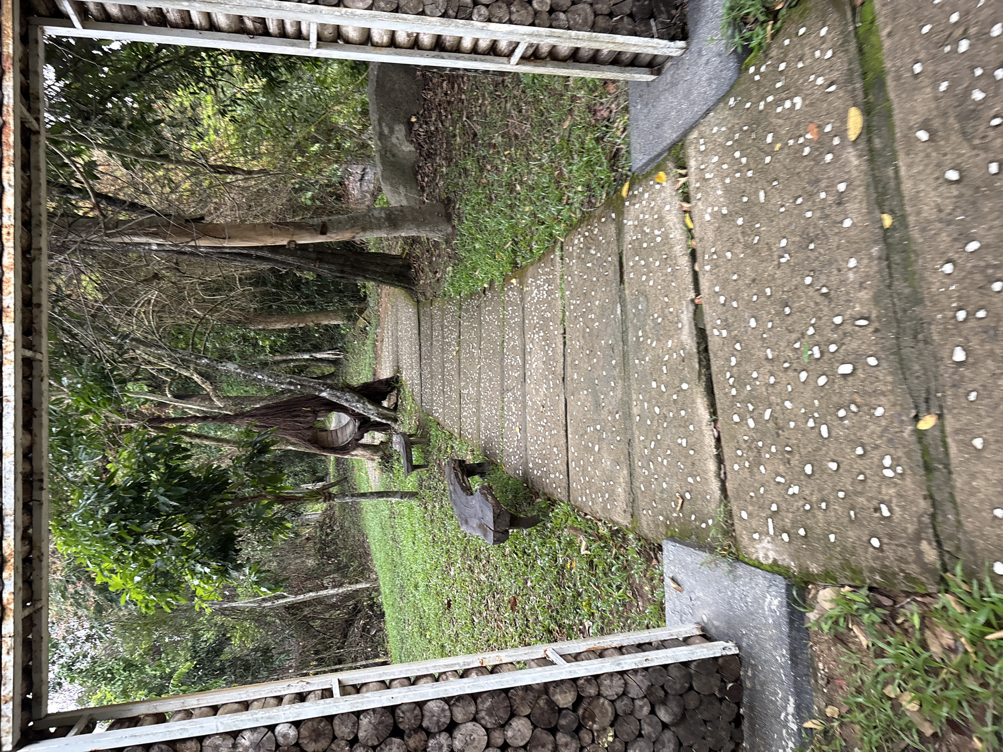 The image shows a pathway leading into a forested area. The pathway is made of concrete slabs with white speckles. On the left side of the pathway, there is a wooden bench. On the right side, there is a large tree with a unique swing hanging from it, made of wood and rope. Further down the pathway, another wooden bench is visible. The area is surrounded by lush greenery and trees, suggesting a natural or park-like setting. The overall impression is one of a serene and natural outdoor space.