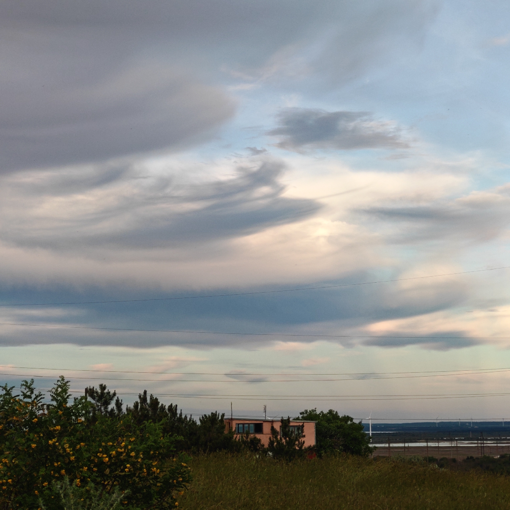 The image presents a tranquil, semi-rural landscape under an overcast, late afternoon or early evening sky. The sky is filled with swirling, layered clouds displaying soft hues of gray, blue, and pink, suggesting diffused sunlight. Multiple parallel power lines traverse the middle distance horizontally across the frame.
In the foreground and mid-ground, vibrant green vegetation is prominent, including bushes adorned with small yellow flowers and various trees, some appearing to be conifers. Partially hidden among these trees is a small, rectangular building with pinkish-orange walls and dark-framed windows.
Beyond the immediate vegetation and the building, a flat expanse of land gives way to a body of water, possibly a lake or estuary, stretching towards the horizon. In the far distance, several white wind turbines are visible, standing against the muted sky, indicating a characteristic feature of the regional landscape. The light is soft and even, contributing to a calm and slightly melancholic atmosphere. There are no people or discernible activities, and no visible text. The scene aligns with a coastal or near-coastal setting, consistent with the specified location of Shchelkino, Ukraine.