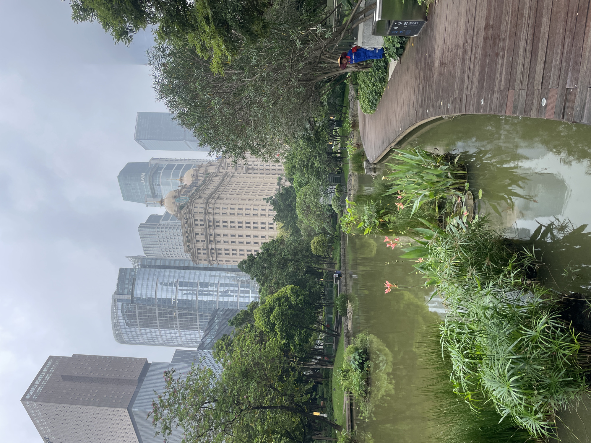 The image depicts a park in Tianhe District, China, featuring a pond in the foreground and skyscrapers in the background. A wooden pathway runs along the edge of the pond, where a person wearing a blue and red outfit and a conical hat is visible near a tree and a metal structure. The pond's surface reflects the surrounding trees and buildings. Various plants are growing on the pond's edge, and the sky is overcast, suggesting a foggy day.