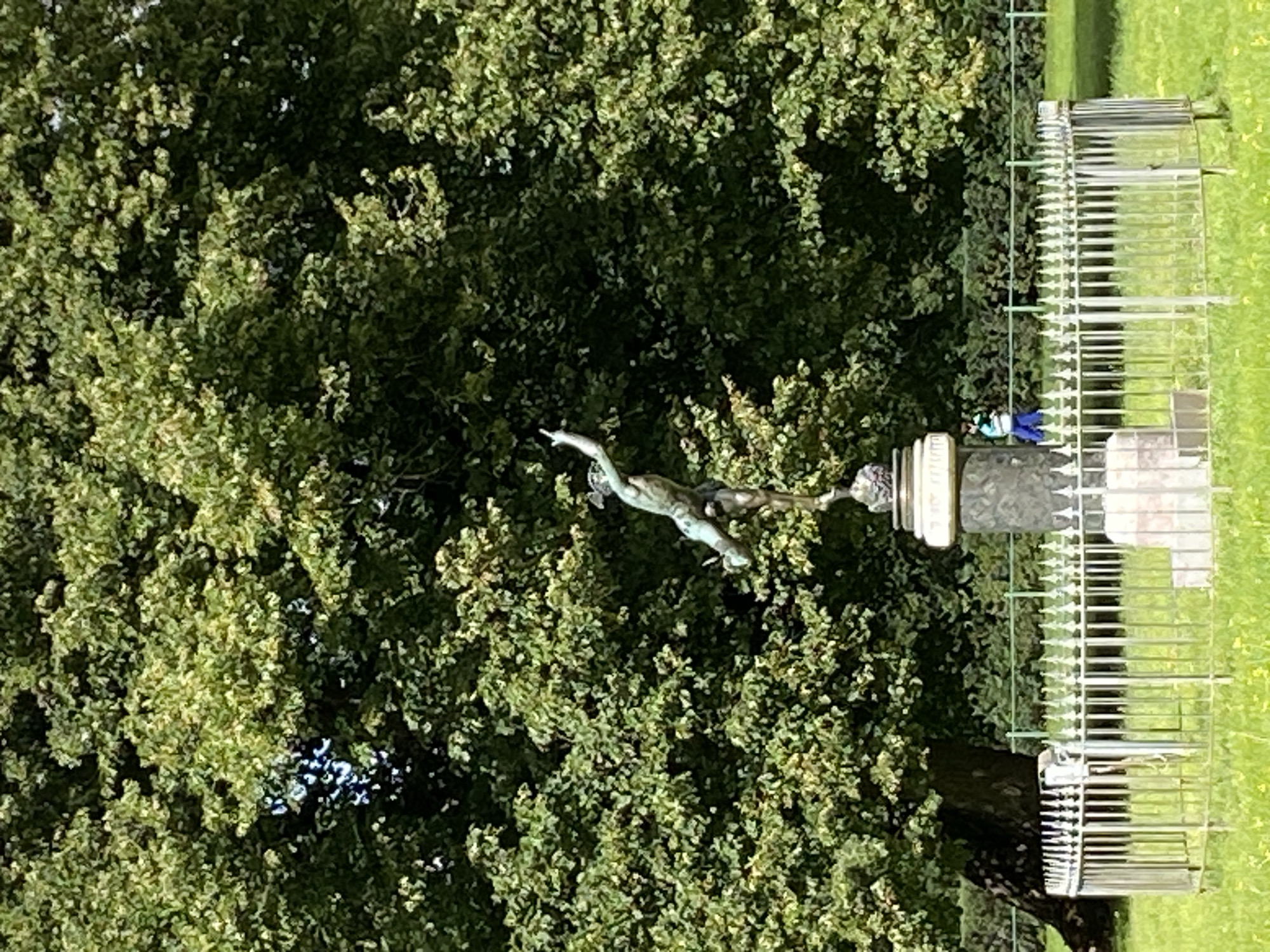 In a sunlit park, a bronze statue of a winged figure, likely Mercury, stands on a pedestal. The statue is enclosed by a polished metal railing. In the background, a large tree with dense green foliage dominates the scene, with a glimpse of a hedge and a fence behind it. Two individuals, one wearing a blue jacket and white trousers, are visible near the fence in the middle ground. The ground is covered in green grass with scattered yellow wildflowers. The setting appears to be the Pavlovsk Park in Pavlovsk, Russia, a historic estate renowned for its landscape gardens.