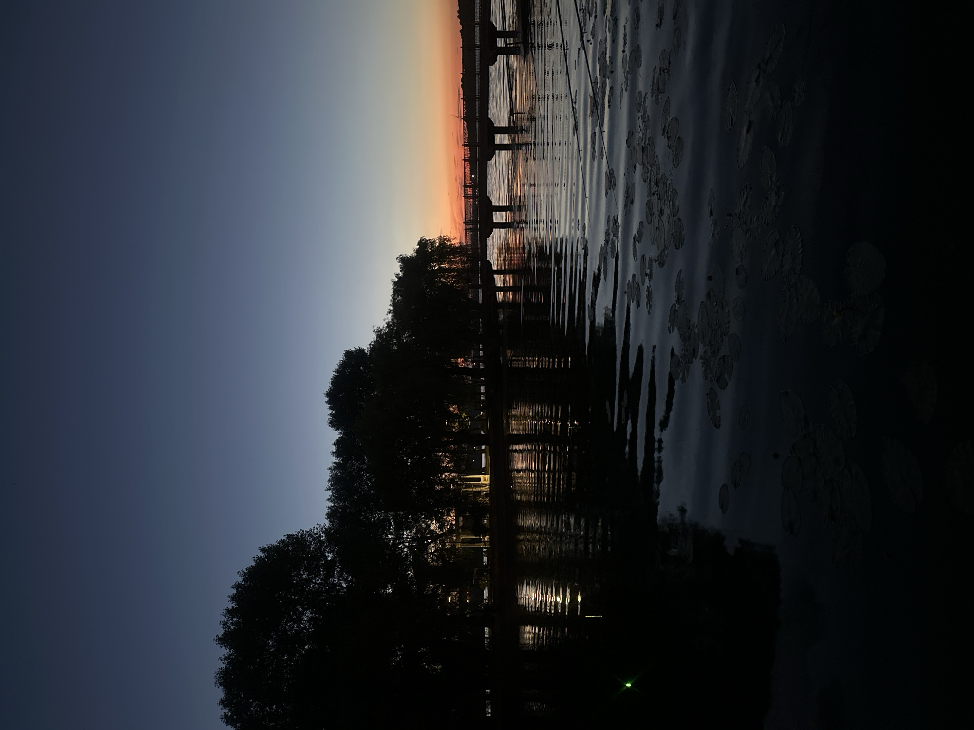 The image depicts a tranquil twilight scene over a body of water, likely Ternopil Lake, in Ternopil, Ukraine. Silhouetted trees line the left bank, their dark forms contrasting with the softening sky. A bridge with visible railings and supporting structures stretches across the water in the mid-ground, with faint silhouettes of people visible on it. The water's surface is rippled, reflecting the subdued light and scattered lily pads are visible, particularly in the foreground. The sky transitions from a deep blue overhead to hues of orange and pink near the horizon, indicating the end of daylight. Some artificial lights are reflected in the water near the trees on the left bank, suggesting the presence of infrastructure or park lighting.