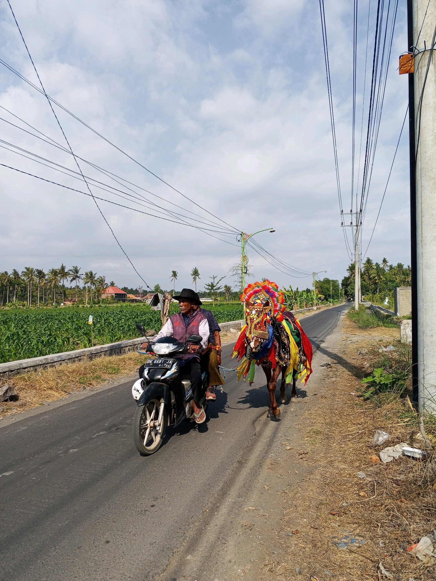 A man wearing a black hat and a vest rides a motorcycle down a paved road in Tamansari, Indonesia. He is pulling a horse adorned with colorful fabrics and a headdress. The horse is walking beside the motorcycle on the right side of the road. The road is bordered by dry grass and some vegetation on the right, and a field of green crops and palm trees on the left. Overhead, a complex network of power lines crisscrosses the sky, which is partly cloudy. In the background, there are scattered buildings and lush green trees.