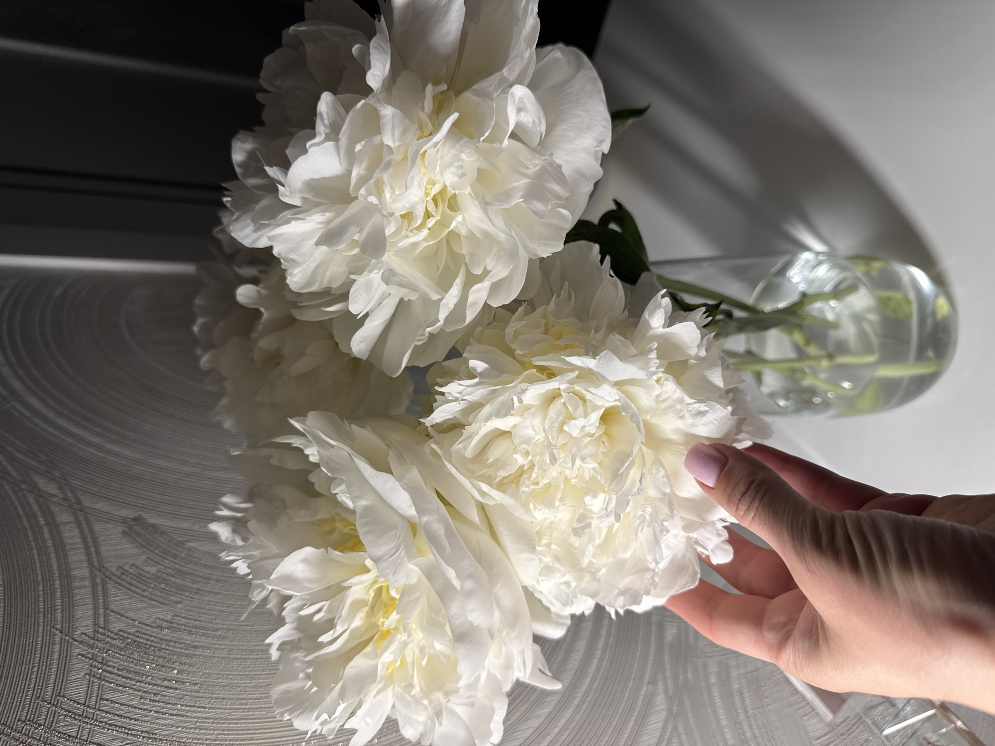 A still-life image presents a bouquet of white peonies arranged in a clear glass vase, with a hand gently touching one of the flowers. The scene is set indoors, with the background consisting of a patterned surface and a softly lit wall.
The peonies dominate the composition, their numerous white petals forming dense, round blooms. The glass vase, partially visible in the upper right, holds the stems of the flowers submerged in water. A right hand with pink manicured nails is seen lightly touching the edge of one peony.
The patterned surface beneath the flowers has a textured design. The wall behind is light-colored and blurred, suggesting a shallow depth of field. A shadow falls across the top left corner, adding contrast to the scene.
There is no information to suggest that the location is in Sochi, Russia.