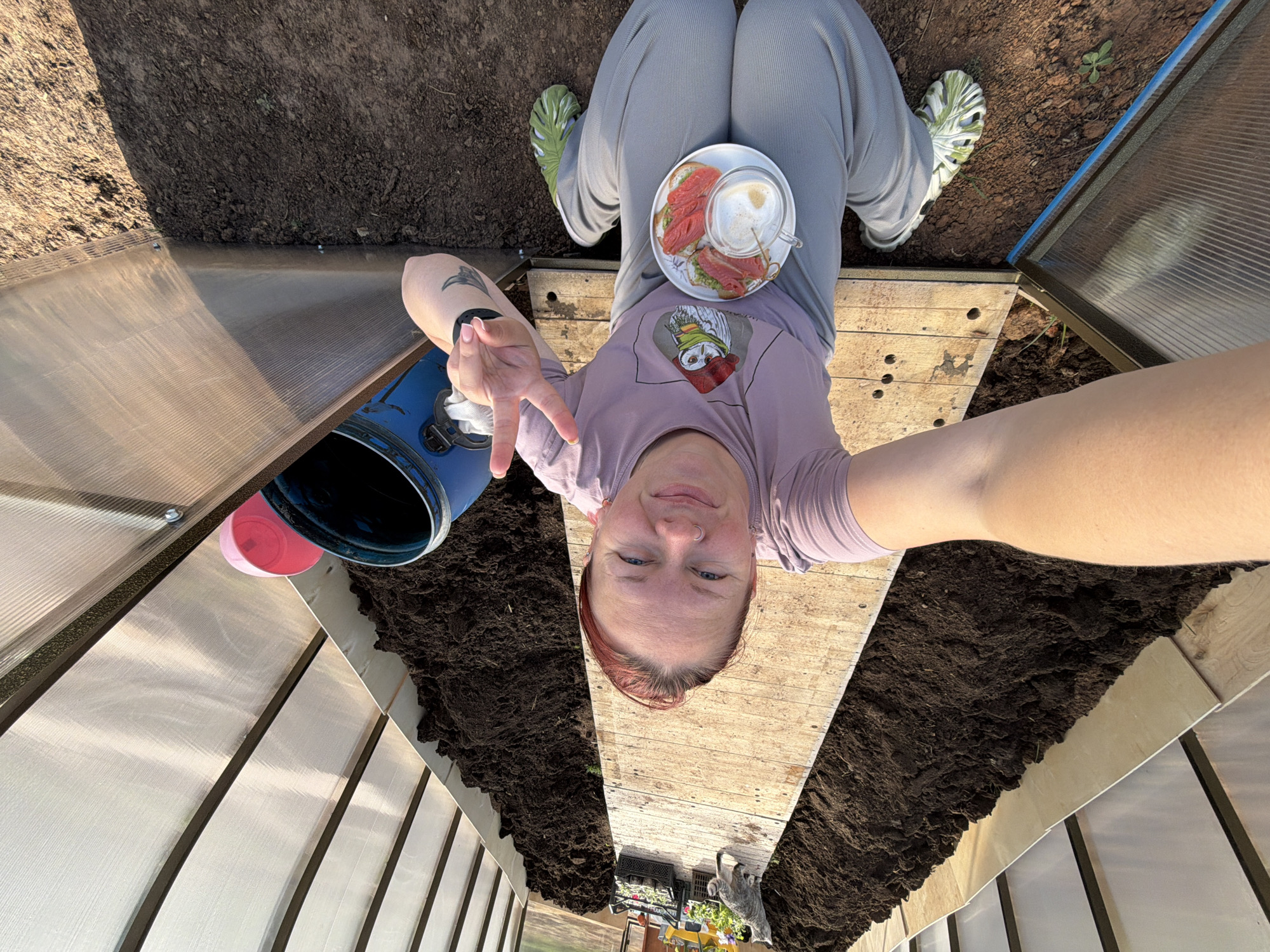 The image depicts a person inside what appears to be a newly constructed greenhouse. The person is sitting cross-legged on a wooden platform with soil-filled beds on either side. They are wearing grey sweatpants, green and white sandals, and a t-shirt with a print. On their lap rests a plate with sandwiches and a cup of coffee. The person is holding up a hand in a peace sign gesture, presumably taking a selfie. Beside them is a blue bucket with a red cup inside. A grey cat is visible in the distance at the end of the greenhouse. The location is likely Chaikovsky, Russia, based on the user's prompt.