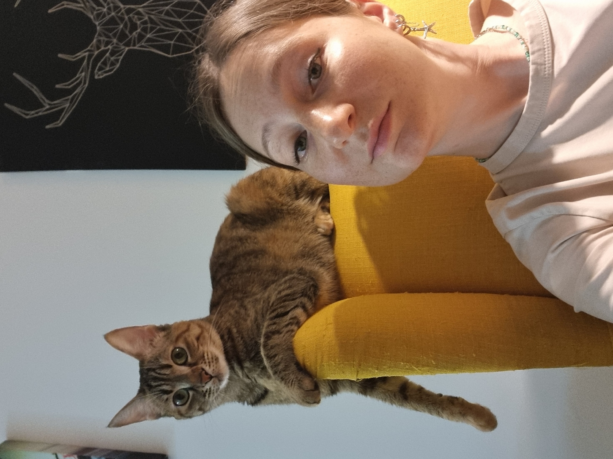 The image, taken in Ramat Gan, Israel, displays a young person and a tabby cat in a relaxed indoor setting. The photograph is oriented vertically, rotated 90 degrees counter-clockwise, with the human subject positioned in the upper right and the cat in the lower left, both looking towards the camera.
The person has fair skin, light-colored hair pulled back, and a neutral, slightly contemplative expression. They are wearing a plain, light-beige or cream-colored long-sleeved top. Notable accessories include a silver-toned earring shaped like a star or abstract geometric design on their right ear, and a delicate necklace with small green beads around their neck.
A domestic tabby cat, predominantly brown with distinctive stripes, is resting on a vibrant yellow armchair or sofa. The cat's head is turned, its large green-yellow eyes fixed on the viewer, appearing alert and curious. Its front paws are draped over the edge of the yellow furniture, and its body is stretched out, with its tail visible extending towards the bottom of the frame.
In the background, behind the person's head, is a dark surface, possibly a wall, adorned with a white, geometric line art design resembling antlers or a similar organic structure. The rest of the background appears to be a plain light-colored wall or ceiling. The scene captures a casual, candid interaction between a person and their pet. No visible text is present in the image.