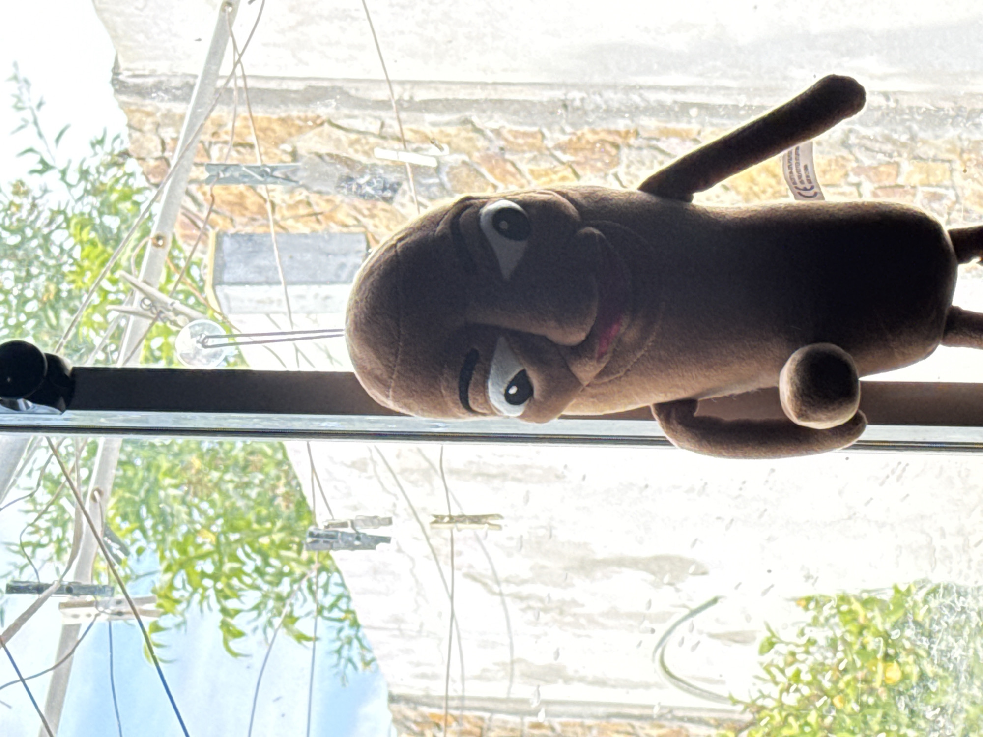 A brown, plush toy with large eyes and a long, thin arm is positioned against a window. The toy is viewed from a low angle. Outside the window, there is greenery, a building, and what appears to be clotheslines. The location is San Fernando del Valle de Catamarca, Argentina.