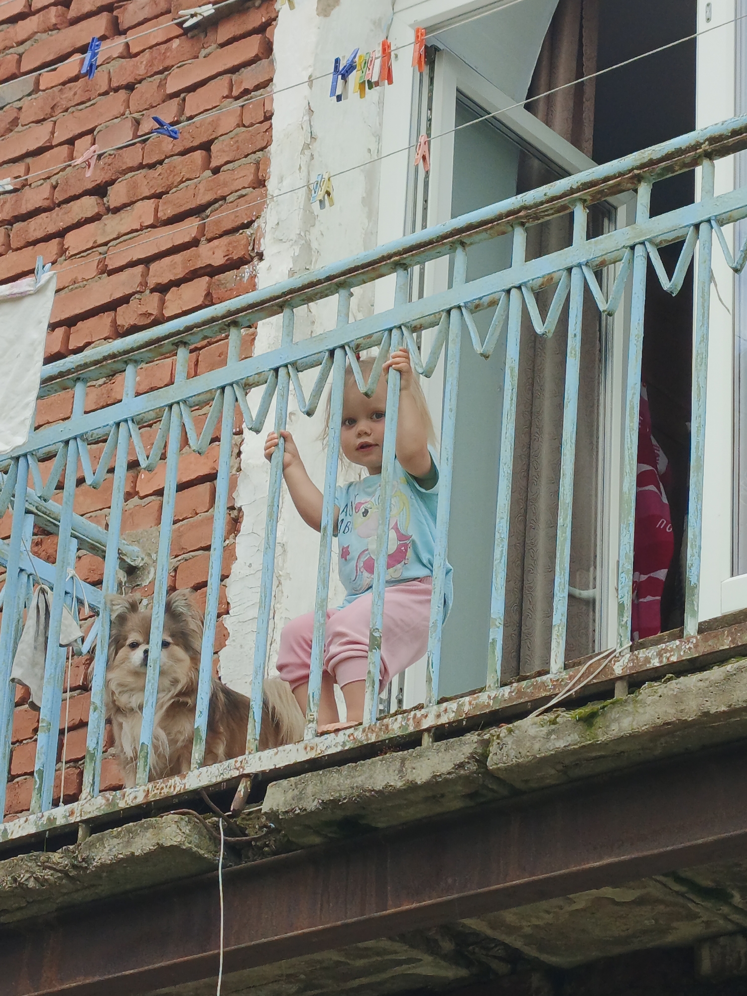 In Medvedyovka, Russia, a young child and a dog are visible on a weathered blue balcony. The child, wearing a light blue t-shirt and pink pants, is holding onto the balcony railing and looking towards the viewer. Beside the child, a small, light brown dog with long fur is also looking out. The balcony itself is rusty and appears somewhat dilapidated. In the background, a brick wall with faded paint and clotheslines with colorful clothespins is visible. A partially open window with curtains can be seen behind the child. The scene suggests a typical residential setting in a Russian town.