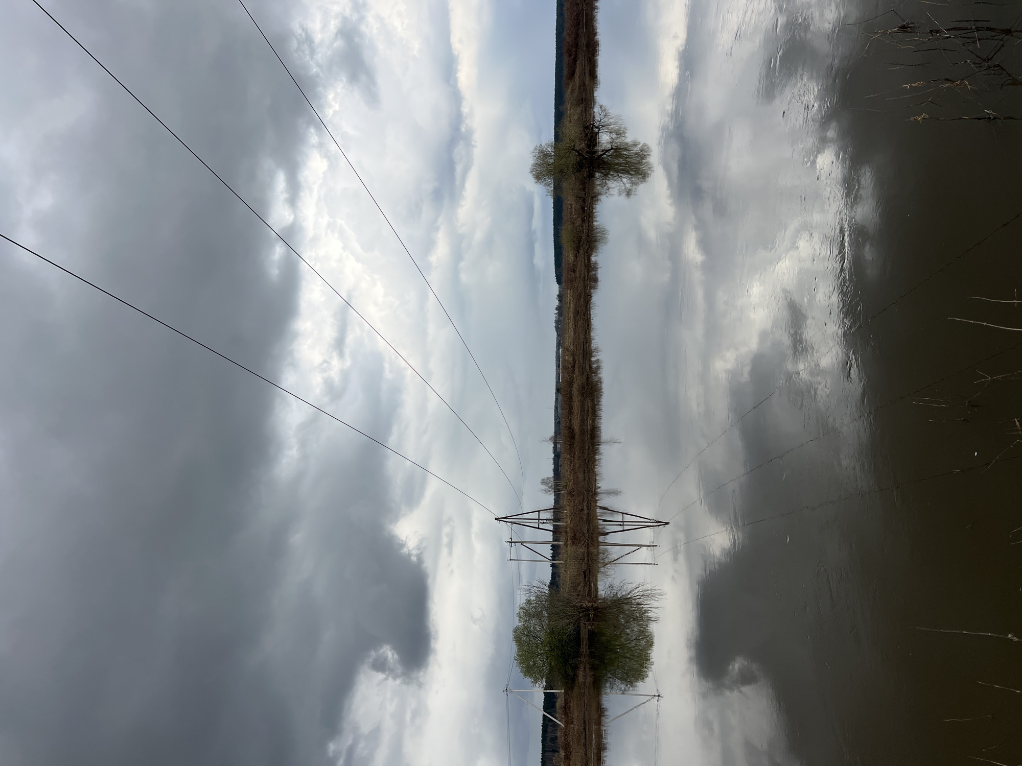 The image depicts a landscape, likely in the vicinity of Gridino, Russia. An overhead electrical transmission line with a tower is prominent. Adjacent to the transmission line is a body of water reflecting the sky, which is overcast with clouds. A thin strip of land borders the water on one side, and this strip of land features bare trees and vegetation. The image is oriented vertically, presenting the landscape as if reflected.