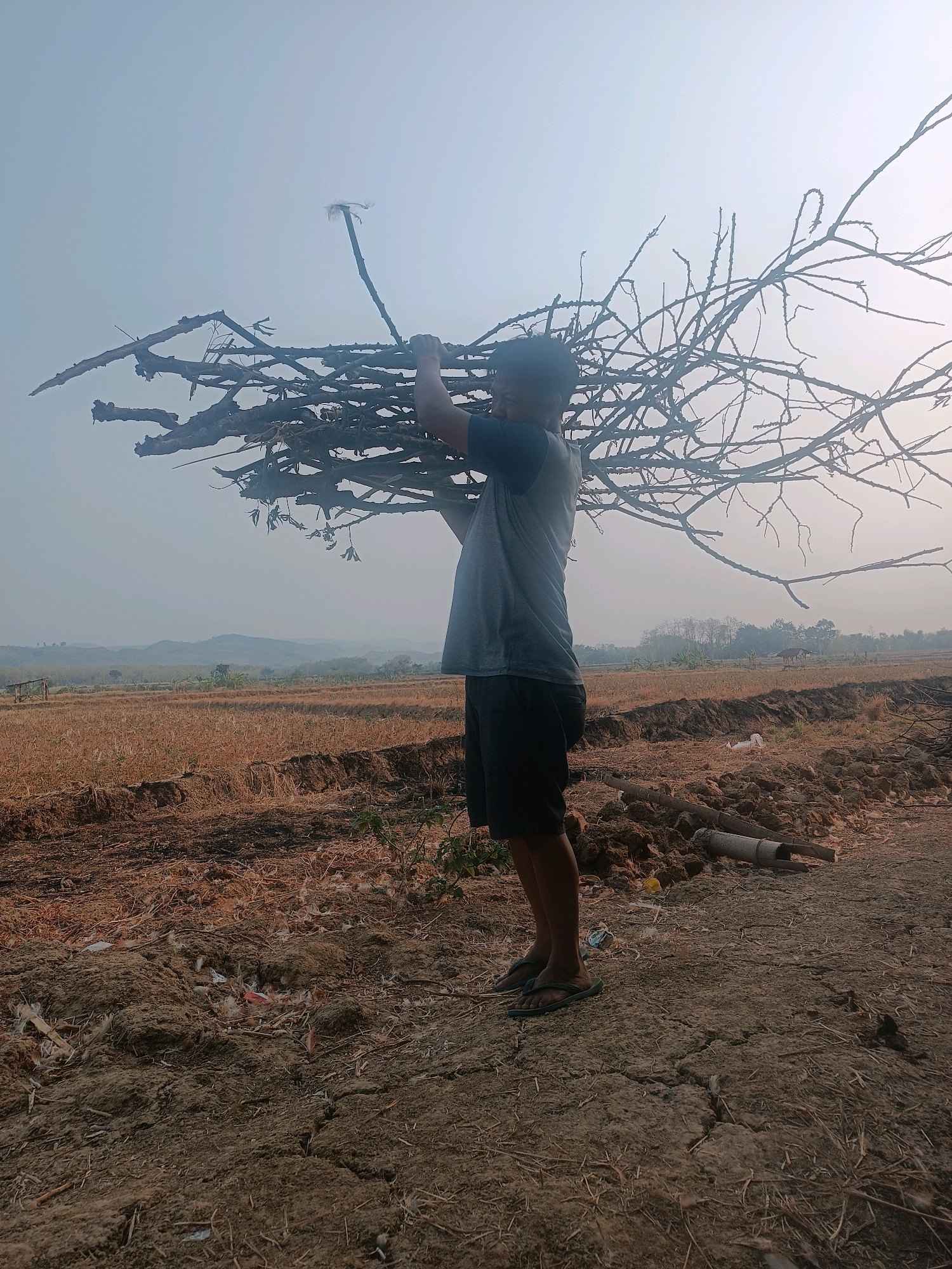 A man is seen from the side, carrying a large bundle of dry branches over his head. He is wearing a grey t-shirt and black shorts, with flip-flops on his feet. He is standing on a dirt path. The background shows a dry, brown field with rows of stubble, suggesting it is harvest season or a dry period. In the distance, there are rolling hills and a hazy sky. The scene appears to be in a rural area of Tambakromo, Indonesia. There is some debris on the ground near the path, including a piece of grey pipe. The overall impression is one of agricultural labor in a dry, possibly remote, environment.