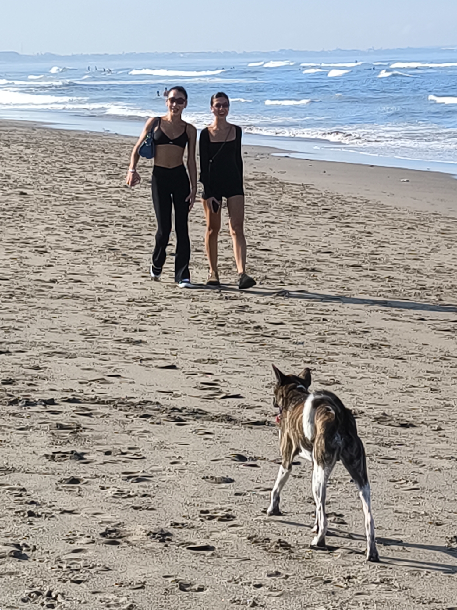 Two women are walking side-by-side on a sandy beach in Canggu, Indonesia. The woman on the left wears a black bikini top, black pants, and carries a blue bag. The woman on the right wears a short black dress. A brown and white dog stands with its back to the viewer in the foreground. The ocean with small waves is in the background, with a few people visible in the water. The scene appears to be daytime with clear skies.