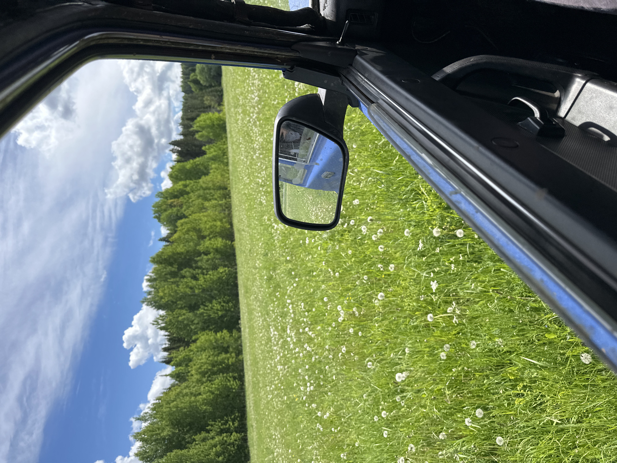 The image is taken from inside a vehicle, possibly a car or truck, looking out through the driver's side window. The view outside features a sunny landscape with a field of green grass dotted with white wildflowers, likely dandelions. A line of trees borders the field, with a blue sky and fluffy white clouds above. A side mirror is visible on the vehicle, reflecting the side of the vehicle itself. Given that the description mentions Ilyinsky, Russia, one can infer the setting is most likely a rural area in or near Ilyinsky.