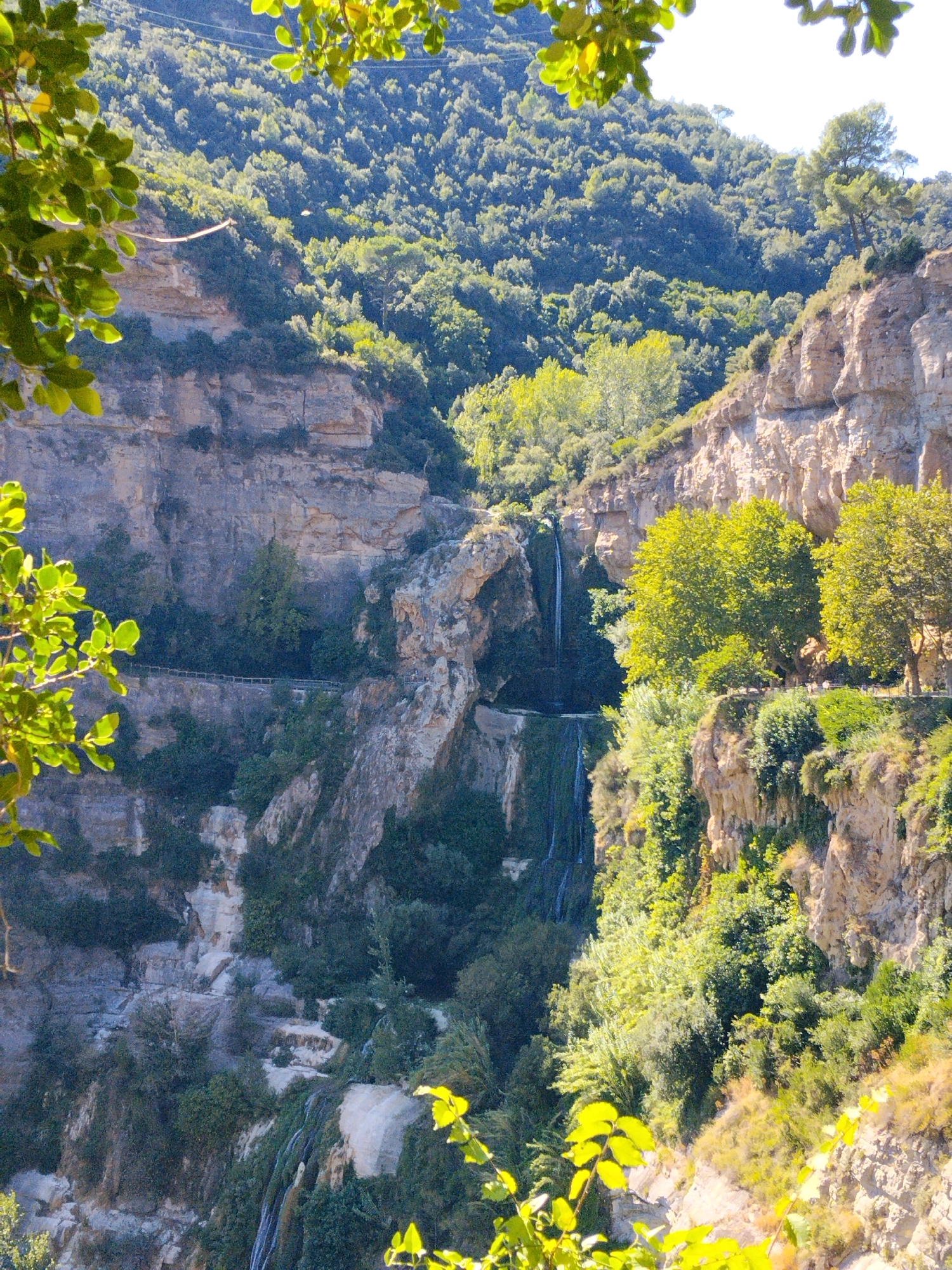 The image depicts a scenic natural landscape with steep, rocky cliffs, lush green vegetation, and cascading waterfalls. In the foreground, bright green leaves of a tree frame the left side of the image, casting a slight shadow. The cliffs are layered with rough, textured rock faces, with visible strata.
The mid-ground reveals multiple waterfalls flowing down the cliff faces. One prominent waterfall cascades from a higher point, splitting into two streams as it descends. Another narrower waterfall is visible further to the left. A narrow path or walkway with a wooden railing is discernible along the side of the cliff, suggesting a tourist or hiking trail. Lush green trees and bushes grow densely along the cliff edges and in the crevices.
The background is dominated by a heavily forested mountainside, with a dense canopy of trees creating a textured green expanse. The sky is visible as a pale blue, indicating a clear day. The lighting suggests it is daytime, with sunlight illuminating the scene and creating highlights and shadows.
The location is the Font de Sant Quirze, within the municipality of Sant Quirze Safaja, Spain. The scene captures the natural beauty of the area, characterized by its dramatic cliffs and water features, likely a popular spot for nature enthusiasts and hikers. There are no visible people in the immediate scene, though the path suggests human presence.