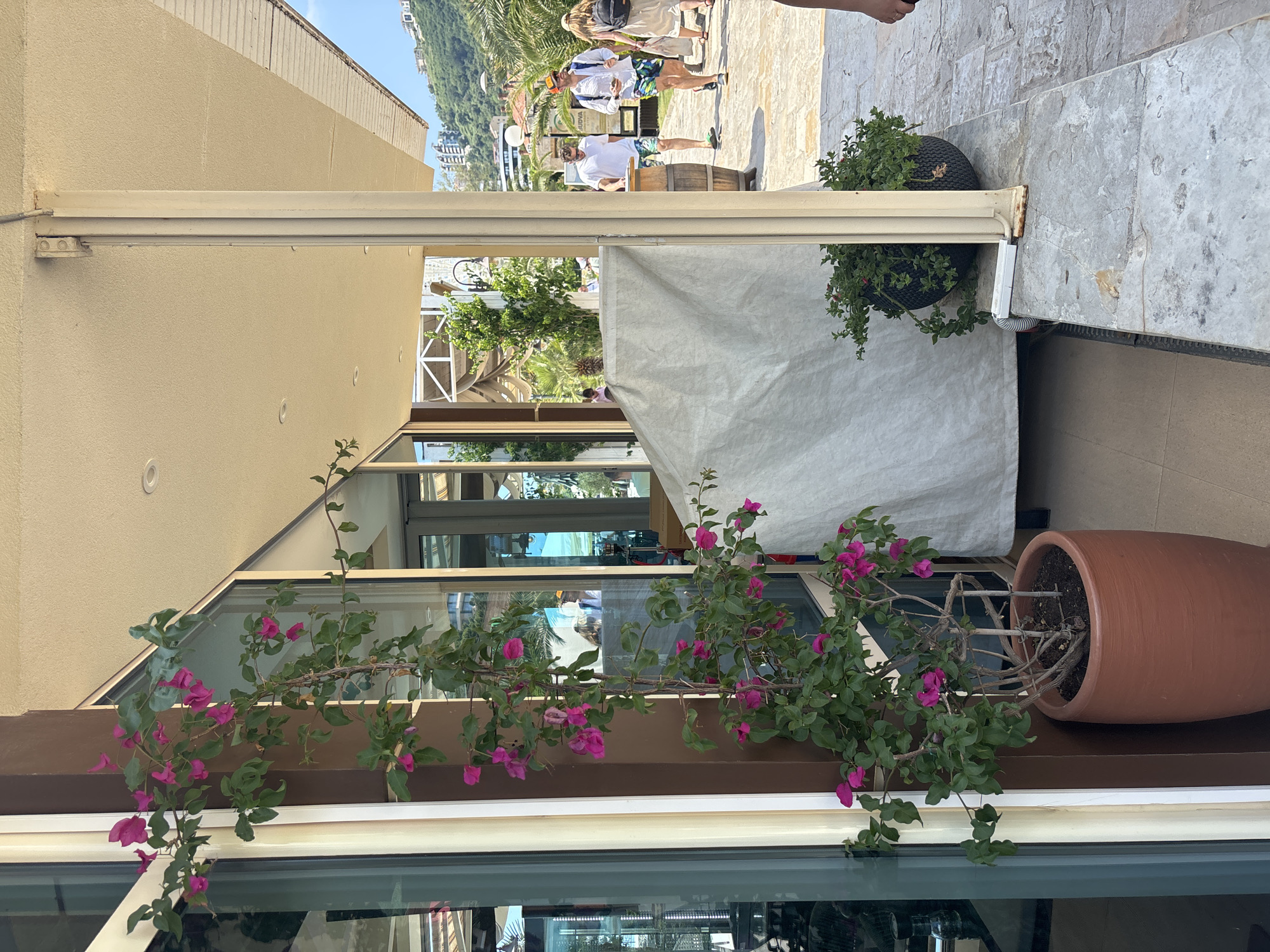 The image depicts an outdoor scene in Budva, Montenegro, on a sunny day. In the foreground, a potted bougainvillea plant with vibrant pink flowers stands to the left, next to a large window. The plant is supported by a wooden stake. To the right, a light-colored tarp covers an object, and further to the right, a paving stone pathway leads away from the viewer.
Several people are visible on the pathway. Two men in casual summer attire, one wearing a white t-shirt and patterned shorts, and another in a white shirt, sunglasses, and patterned shorts, walk away from the camera. Behind them, a woman with a backpack and a straw hat walks towards the viewer. Further in the background, more people and palm trees are visible, with buildings on a green hillside in the distance. A wooden barrel is positioned on the pathway near the men. The overall environment suggests a seaside resort or a commercial area near a waterfront.
