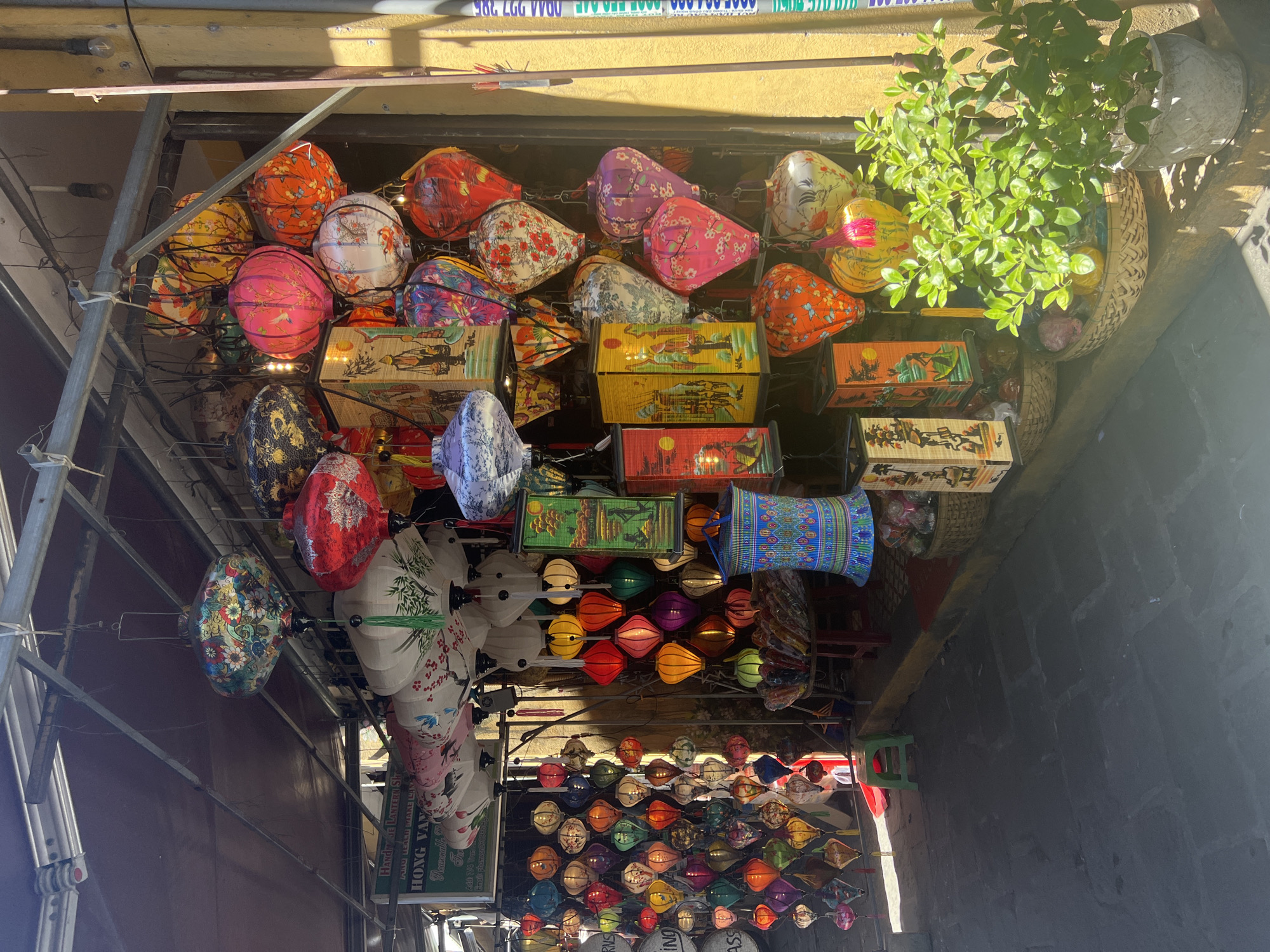 This image depicts an outdoor stall in Hoi An Ancient Town, Vietnam, showcasing a vibrant array of traditional Vietnamese lanterns. The stall is narrow, with a metal roof structure providing shade, and the ground is paved with stone tiles. A variety of lanterns in different shapes, sizes, and colors are suspended from the ceiling and displayed on shelves. These include cylindrical lanterns with painted scenes, conical silk lanterns with floral motifs, and smaller, decorative lanterns. Some lanterns are illuminated, while others are not.
To the left of the stall, a sign with Vietnamese text is visible, indicating "Handmade Lantern Shop HONG VAN" and contact information. A small green stool is placed in front of the stall. To the right, a lush green potted plant sits on the pavement.
The lighting suggests it is daytime, with sunlight casting shadows on the ground. The background is a weathered yellow wall, characteristic of the architecture in Hoi An Ancient Town. The overall scene conveys a sense of local craftsmanship and cultural heritage, typical of the tourist-friendly atmosphere of the area.