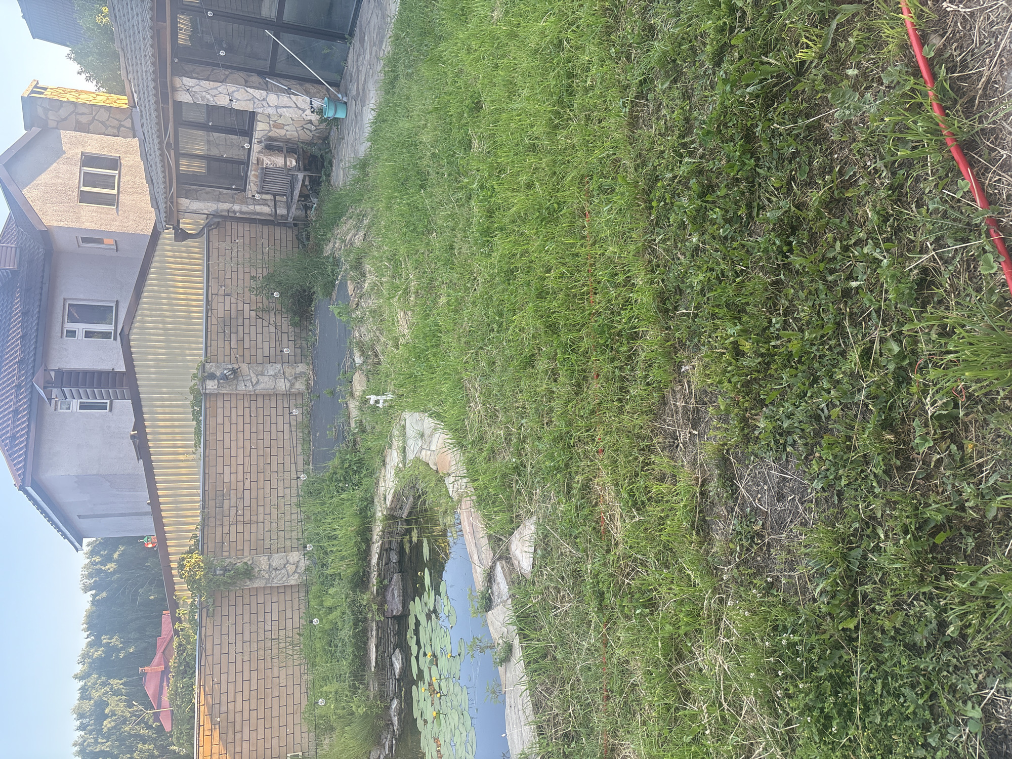 This is an outdoor, eye-level, full shot of a backyard in the city of Oryol, Russia. The scene captures a pond with lily pads and yellow water lilies, bordered by a stone and brick wall. Beyond the pond, a lush green lawn extends towards a patio area with a stone-covered structure, a wooden bench, and a teal bucket. In the background, two multi-story houses with tiled roofs are visible, partially obscured by a yellow corrugated metal fence. The sky is clear and blue. The image appears to have been taken on a sunny day.