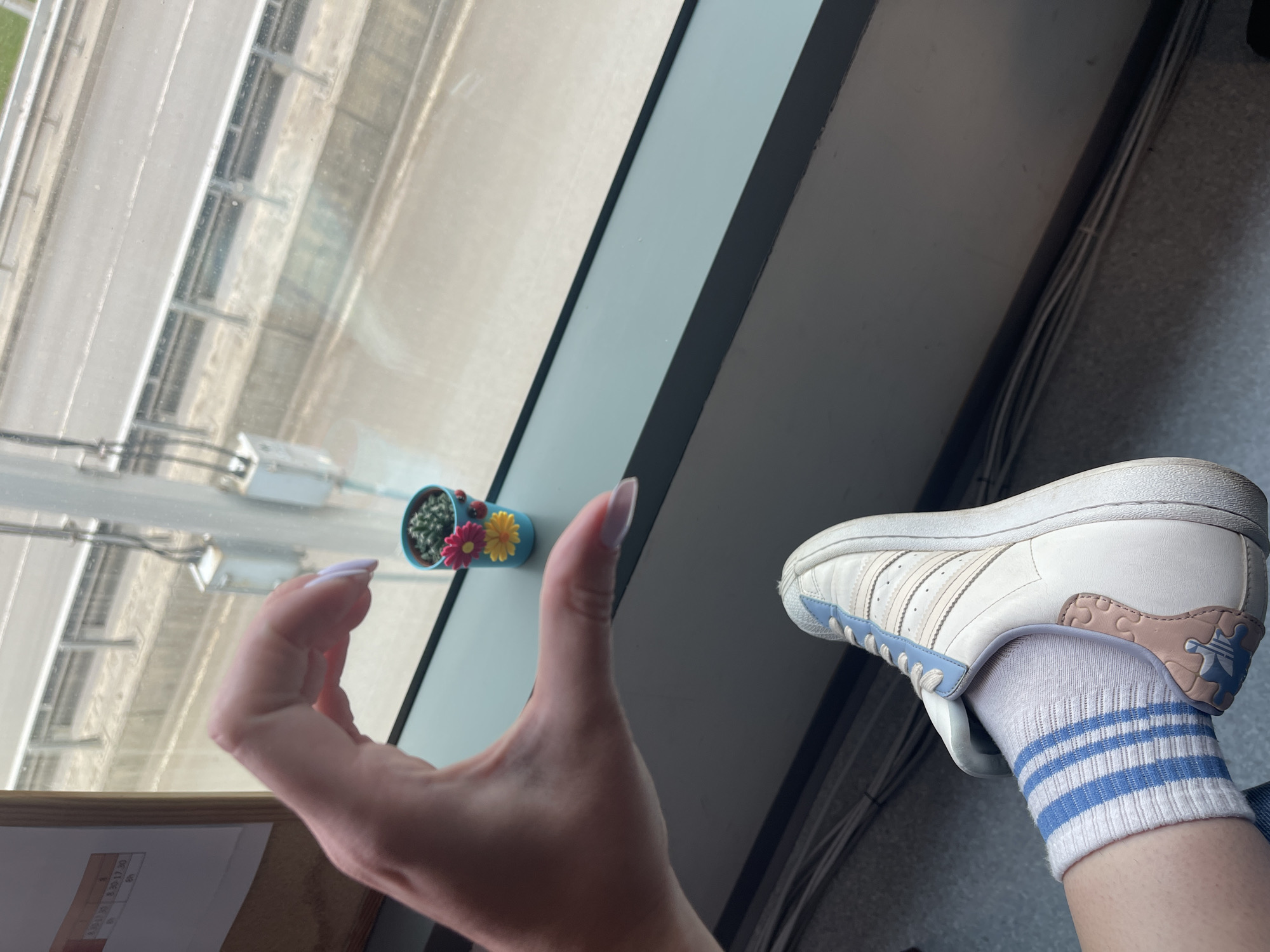A person's hand is near a small cactus, and a white Adidas shoe with blue-striped socks is visible. The location is unknown, and it's impossible to determine if this is Sofia, Bulgaria.
