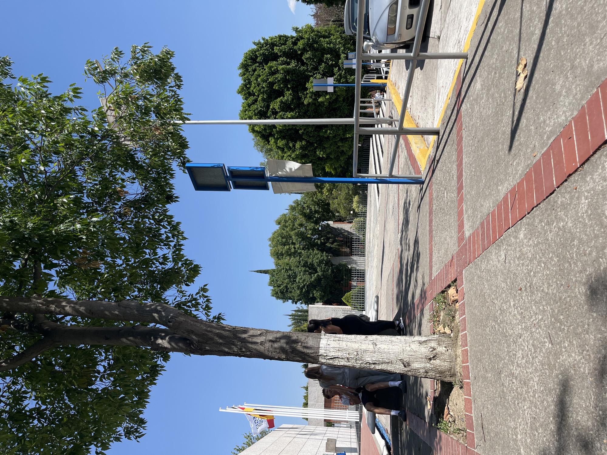 The image shows a sidewalk scene in Puebla, Mexico, under a clear blue sky. A large tree with a white-painted trunk stands to the left. Two people are seated at the base of the tree, while a third person is doing push-ups against the tree trunk. Adjacent to the sidewalk is a parking area with metal guardrails, a light blue pole and parked cars. The sidewalk is bordered with red brick edging. In the background are additional trees and buildings. Flags are visible near the base of the tree.