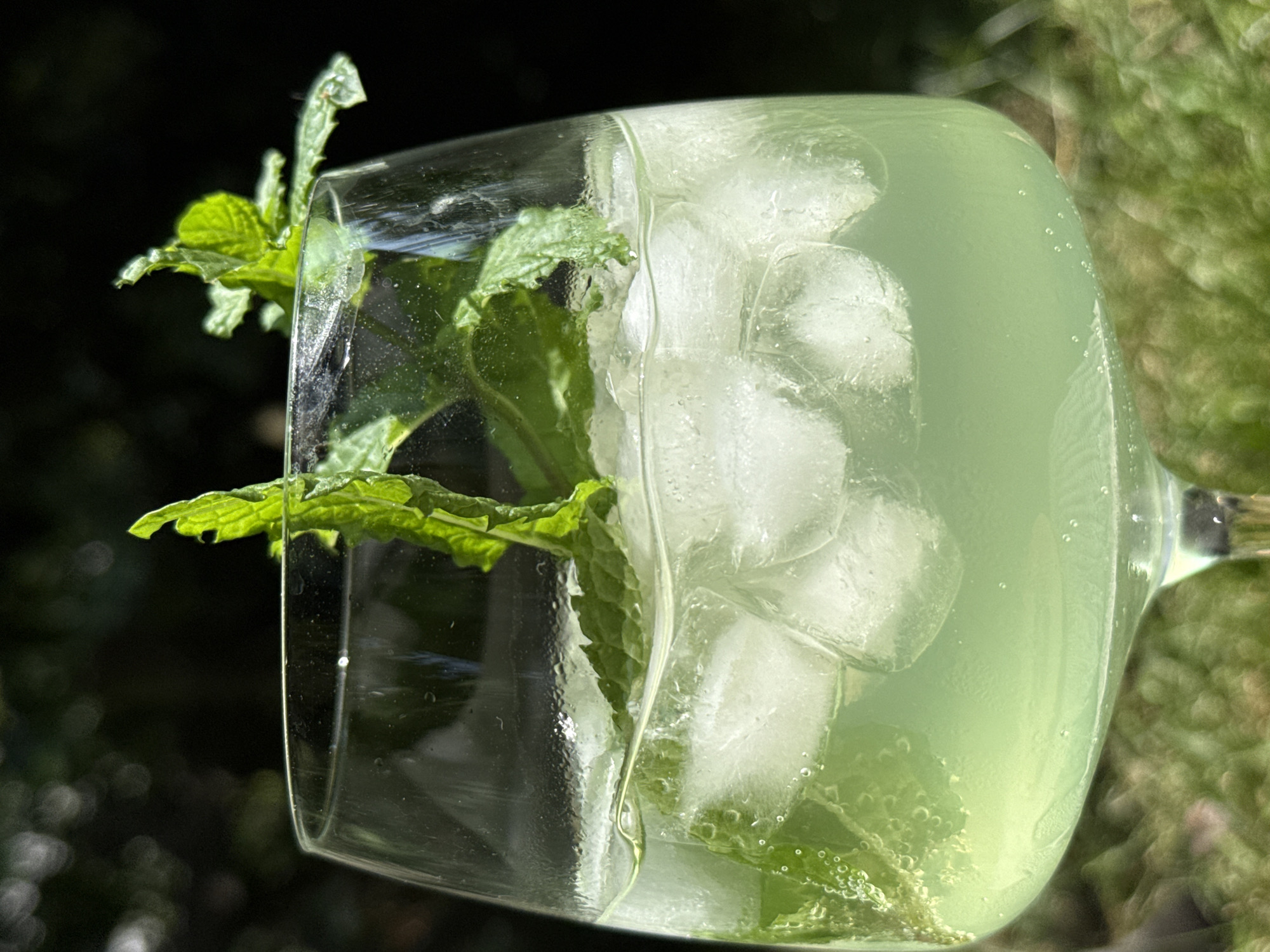 A close-up shot captures a tall glass filled with a light green, bubbly beverage and ice cubes, garnished with fresh mint sprigs. The drink is set against a blurred backdrop of dark green foliage and what appears to be a grassy area, suggesting an outdoor setting. The lighting indicates a sunny day. There are no people or animals present in the image. The scene is likely located in a garden or park area in the town of Bad Sachsa, Germany, due to the implied natural environment and the request's context.
