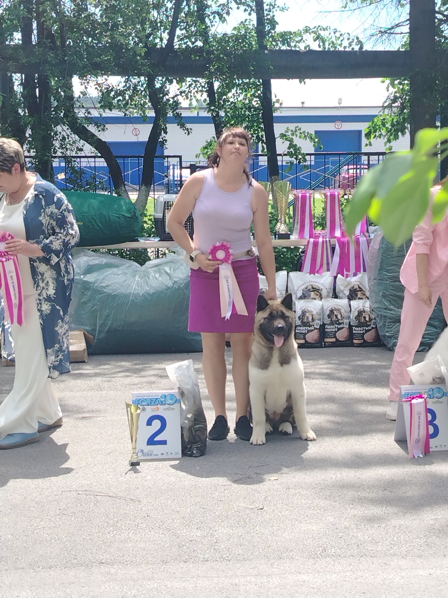 The image depicts an outdoor event, likely a dog show or competition, taking place in Prokopyevsk, Russia, based on the provided context. In the foreground, an Akita dog is seated attentively, looking towards the camera with its tongue slightly out. Two women are present, one on the left wearing a white dress and a blue and white patterned jacket, holding a pink ribbon. The other woman, to the right of the dog, is wearing a light purple tank top and a purple skirt, also holding a pink ribbon.
Behind the dog and the woman in purple, a display of trophies and pink and white ribbons is visible. Several bags of dog food with Cyrillic lettering are stacked in the background. The environment appears to be a paved area, possibly a park or an exhibition ground, with trees and a building in the far background. Two podiums with numbers 2 and 3, and a trophy are also visible in the foreground. The overall scene suggests a competitive event with awards and participants.
