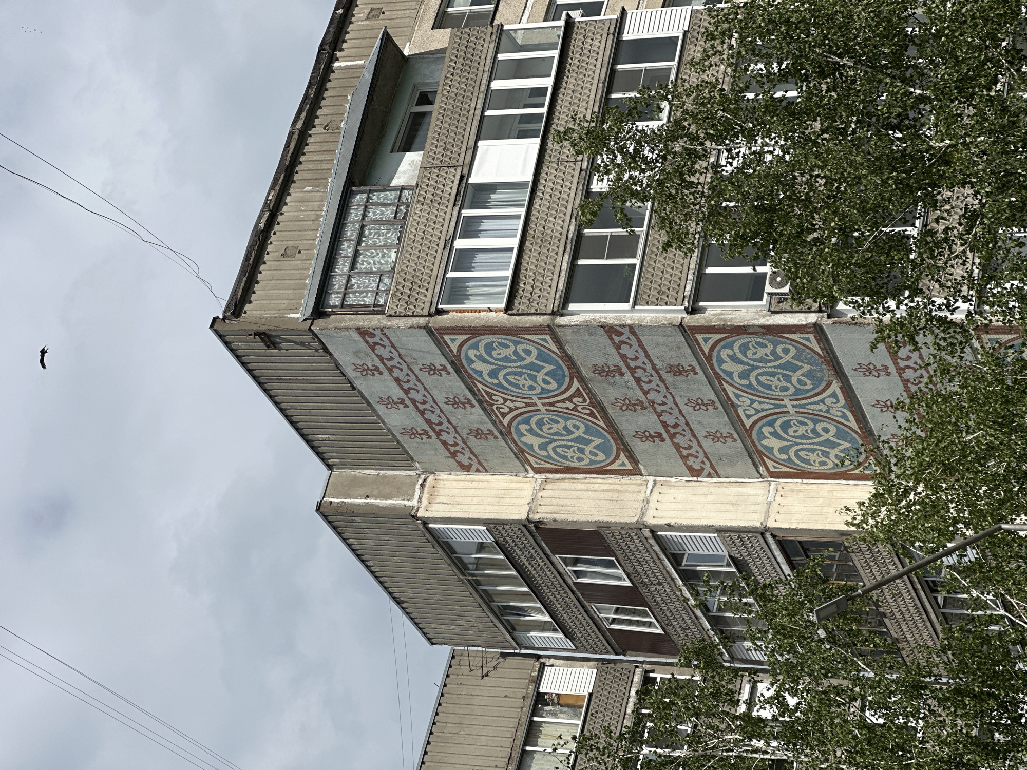 The photograph shows the exterior of an aging apartment building in what is claimed to be Biysk, Russia. The building's facade features a repetitive pattern of light gray panels, each with blue and red decorative circles. The windows are tall and narrow, some with curtains visible inside. A tree partially obscures the right side of the building, and utility lines are visible against a cloudy sky in the upper left corner. A bird is also flying in the top left of the photo. The building shows signs of wear and age.