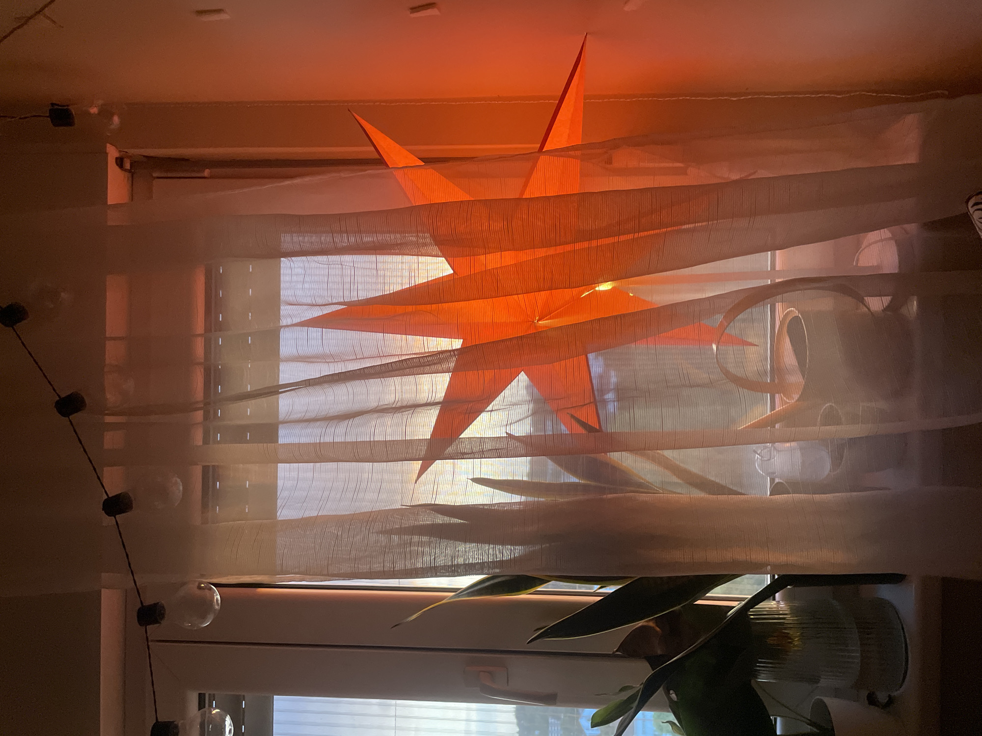 The image shows an interior view of a room, likely in an apartment, located in Vracar Urban Municipality, Serbia. The dominant feature is a large, illuminated orange star decoration hanging in front of a window covered by a thin, sheer curtain. The window provides a view of the outside, though details are obscured by the curtain and light. A potted plant with green leaves is positioned on the windowsill. A string of lights with round bulbs and dark cylindrical connectors hangs along the left side of the window frame. The overall lighting in the room is warm and muted. A blind is visible below the windowsill.